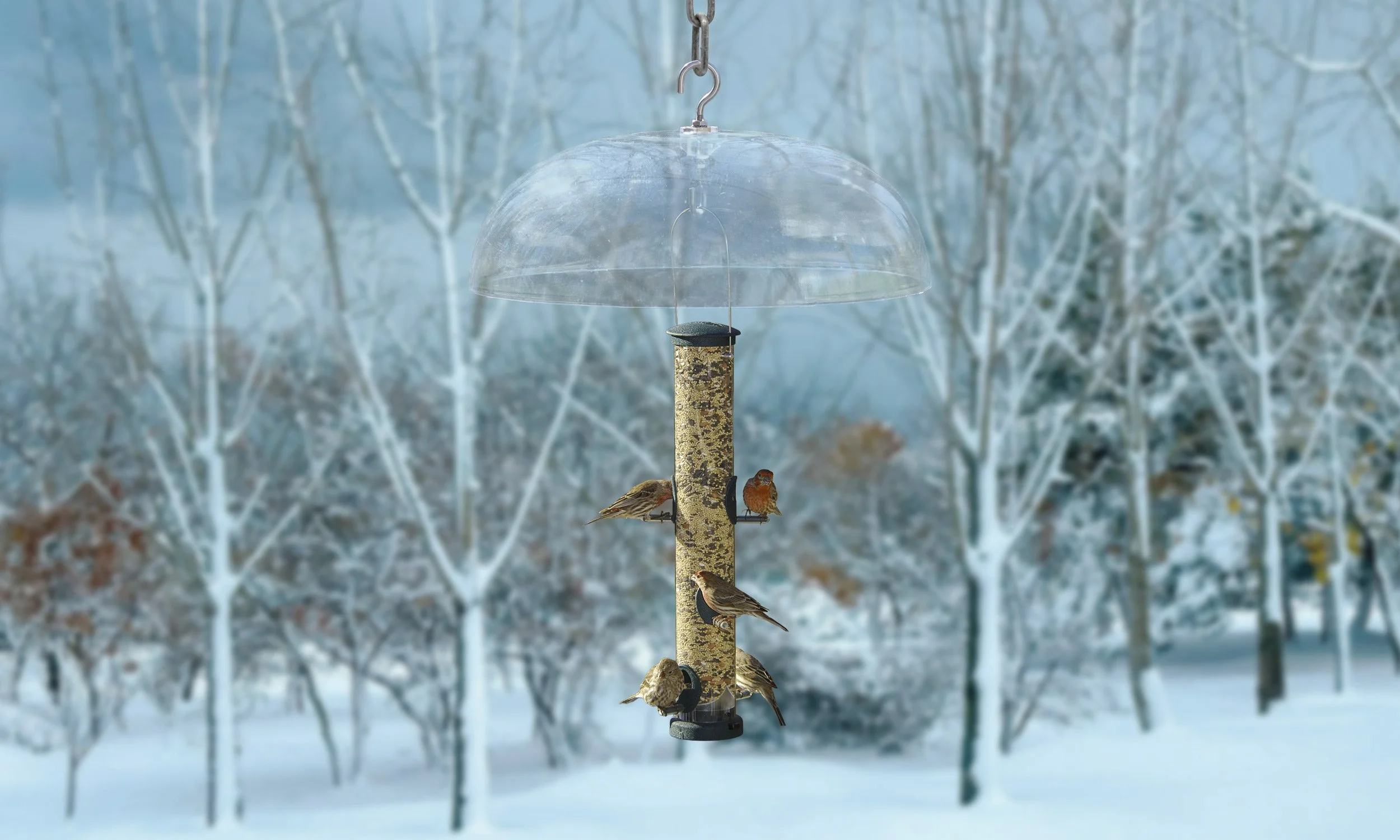 Aspects-425-Quick-Clean-with-Dome-Winter-Scene.jpg