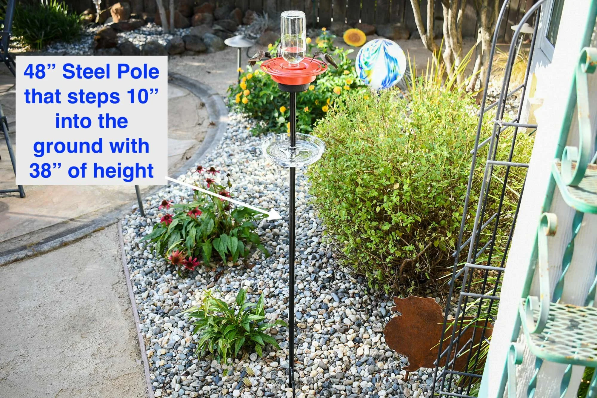 16 oz Feeder on 48" pole mounted in the ground.