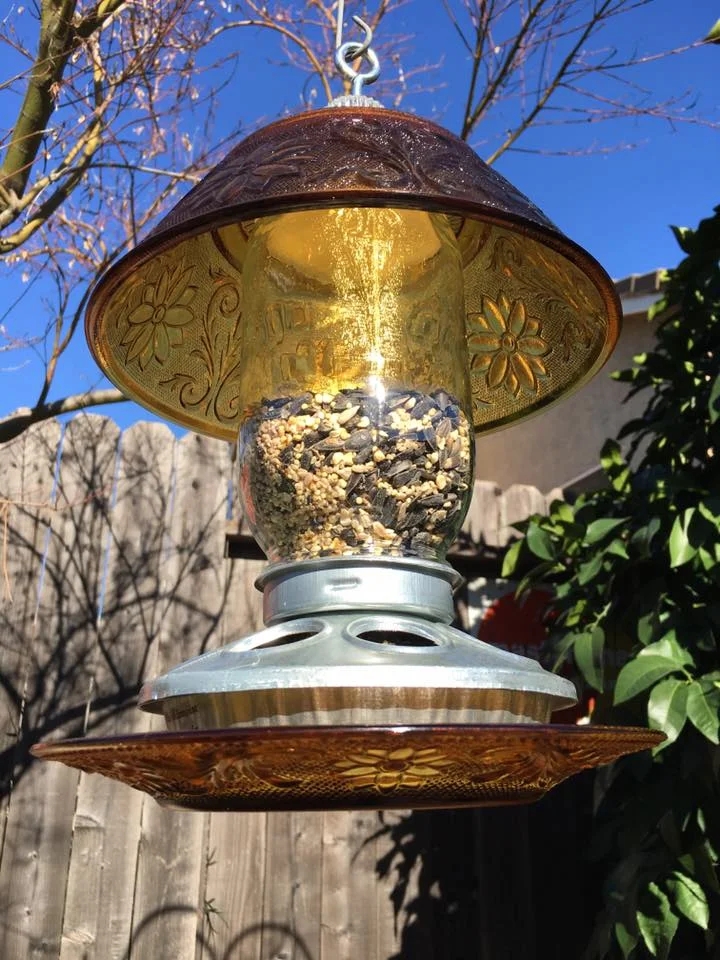 bird feeder in use use.jpg