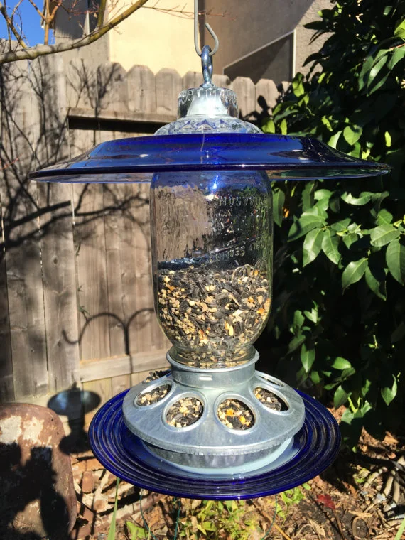 Freedom RIngs Feeder.jpg