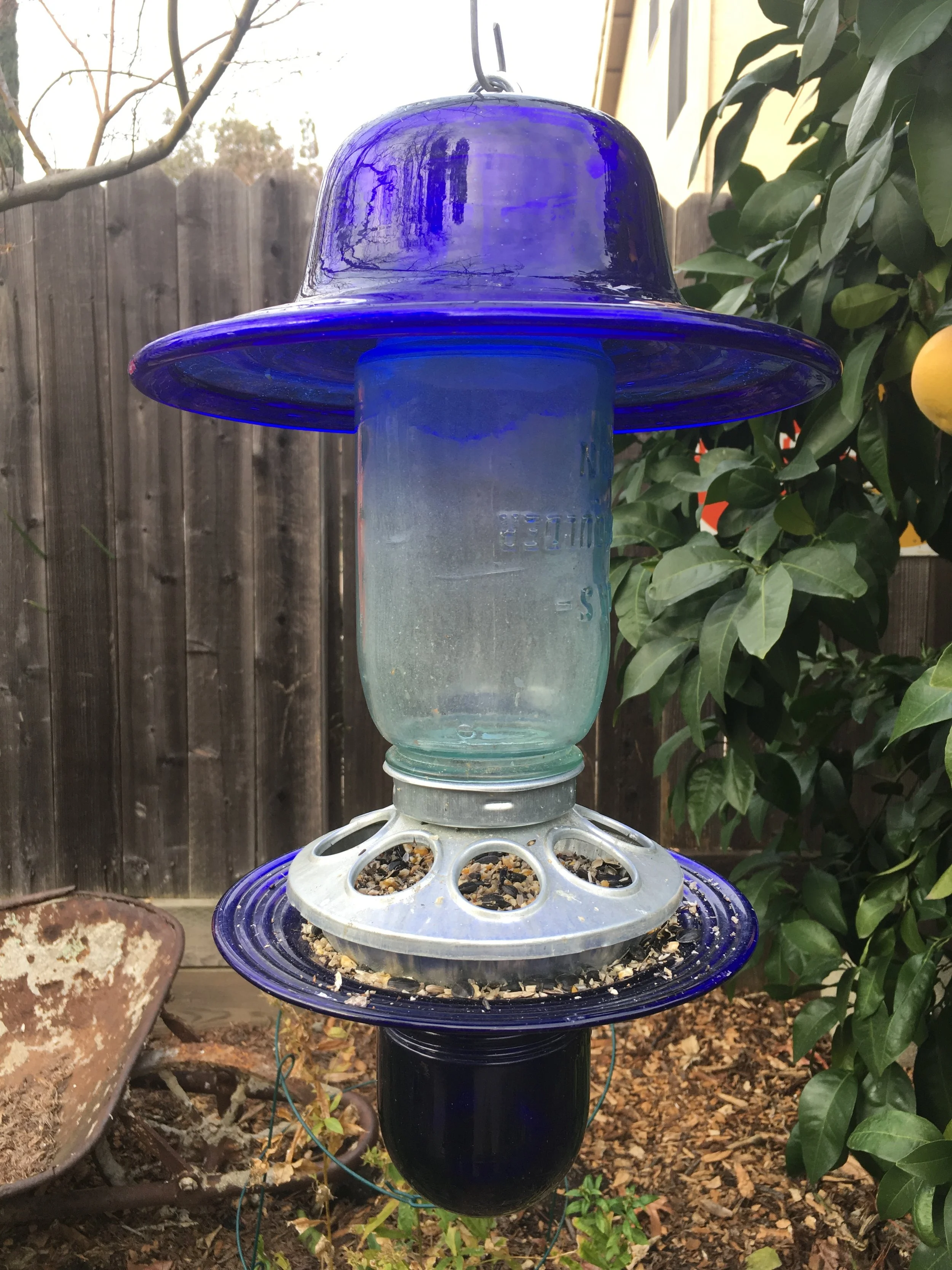 pippipfeeder.jpg