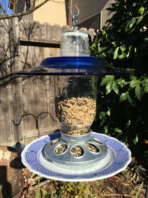 Navy Blue Feeder.jpg