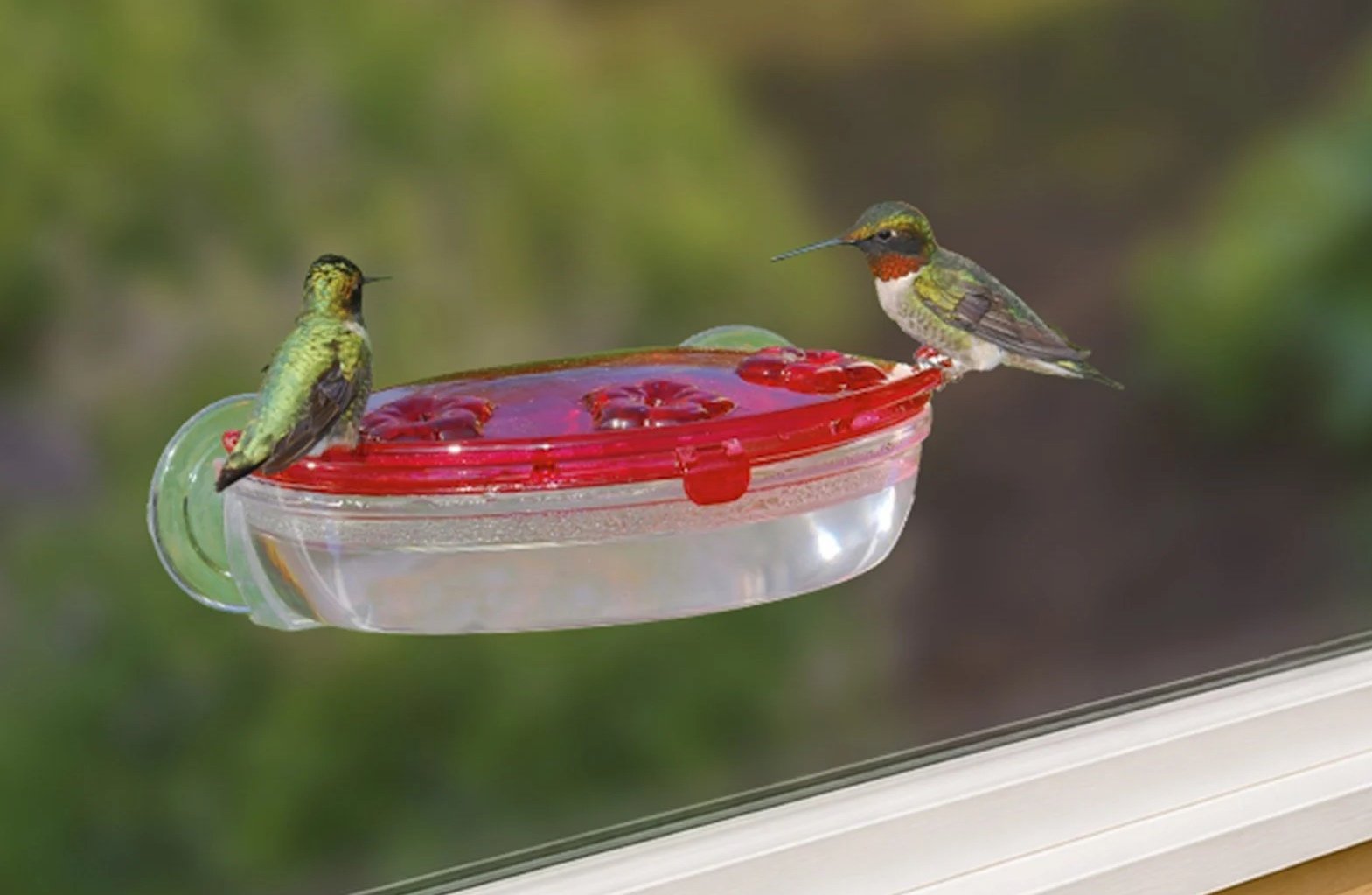 Aspects 407 Jewel Box window hummingbird feeder close-up with two hummingbirds perched at the red feeding ports