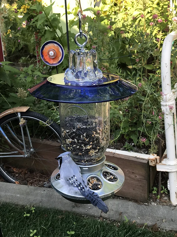 Birdfeeder175A.jpg