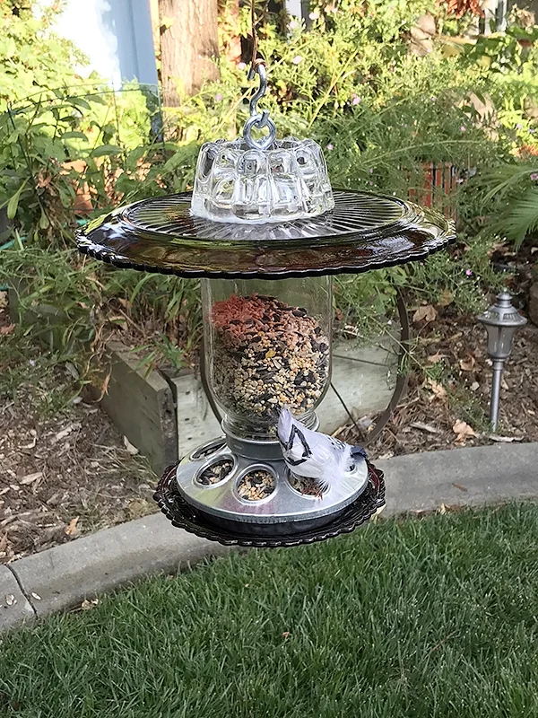 Birdfeeder198A.jpg