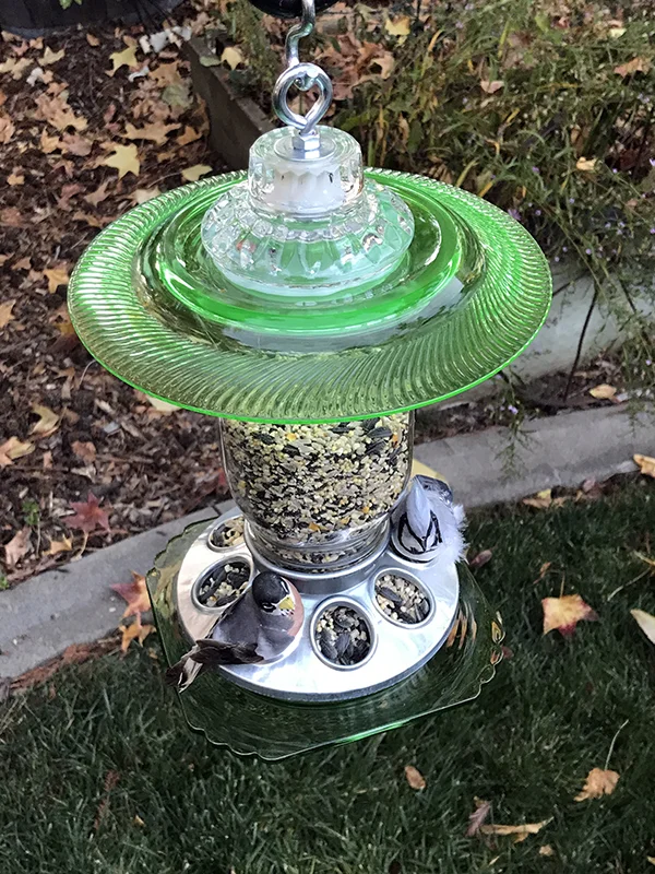 Birdfeeder223B.jpg