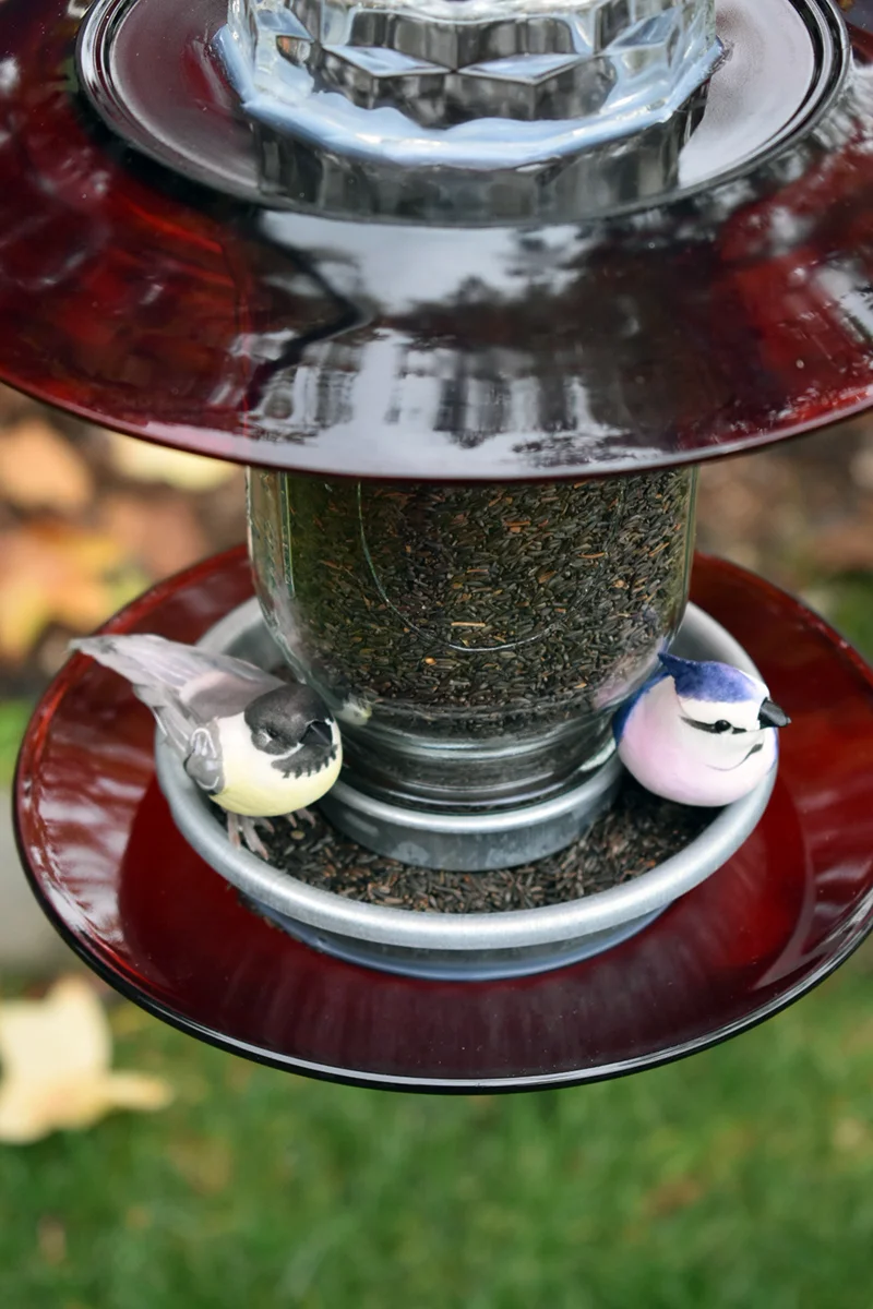 Birdfeeder243F.jpg