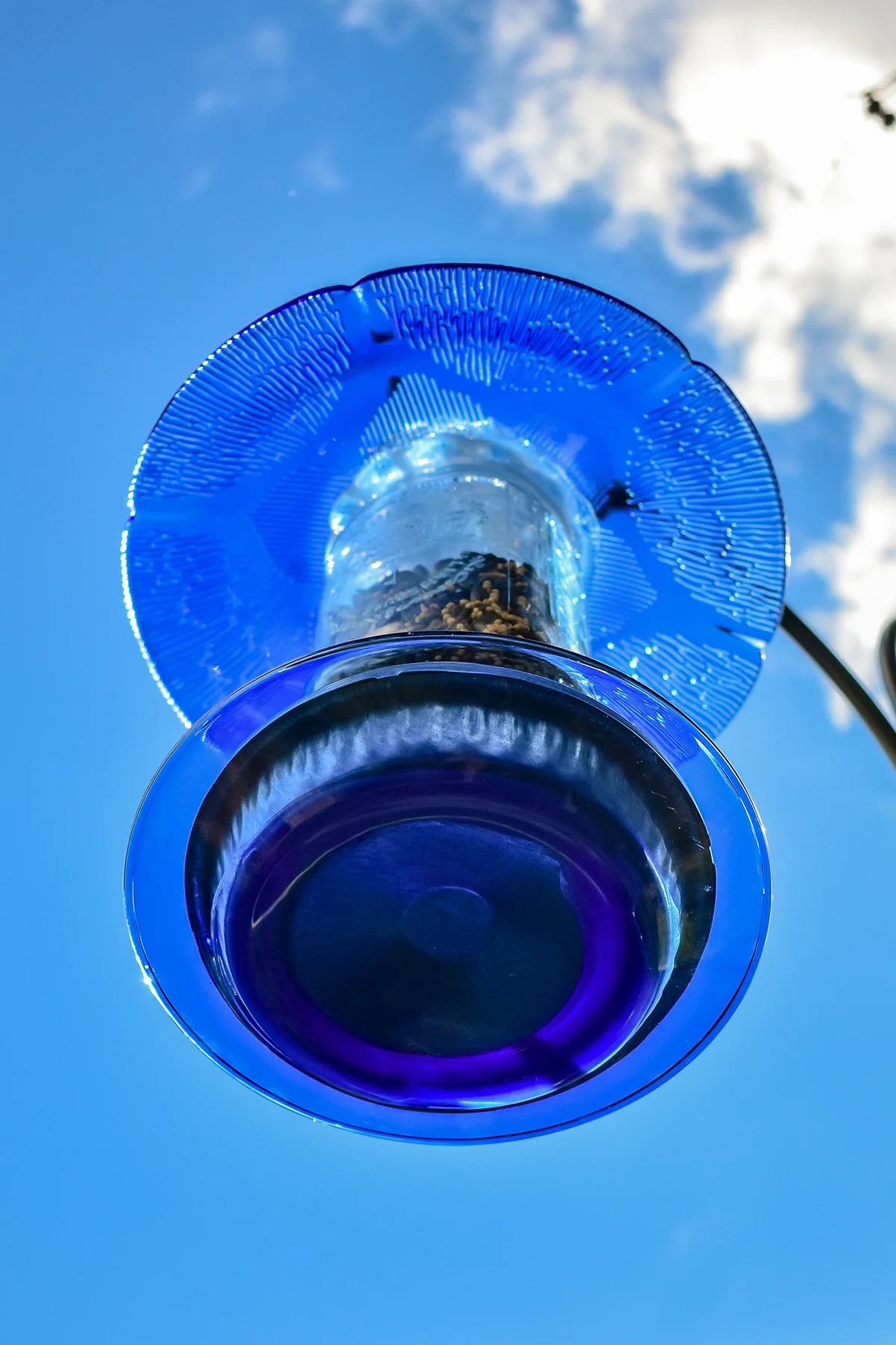 Birdfeeder286E.jpg