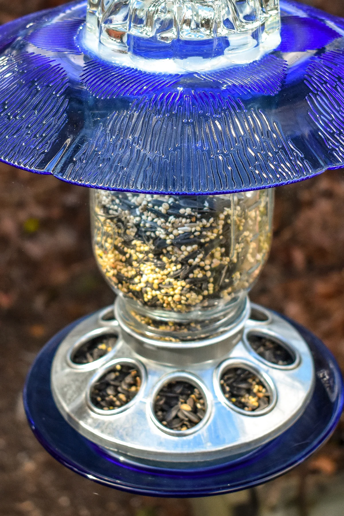Birdfeeder286D.jpg