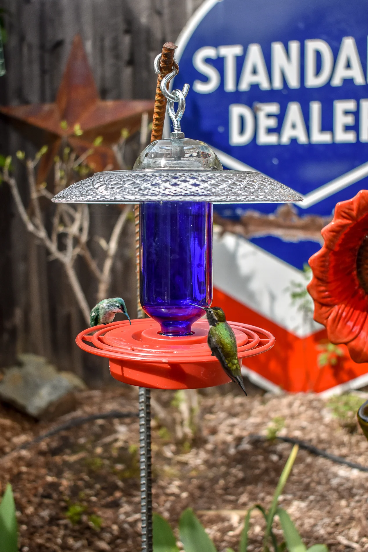 Crystal Clear 7 Seater Hummingbird Feeder Humm128 Yankee Glass Art