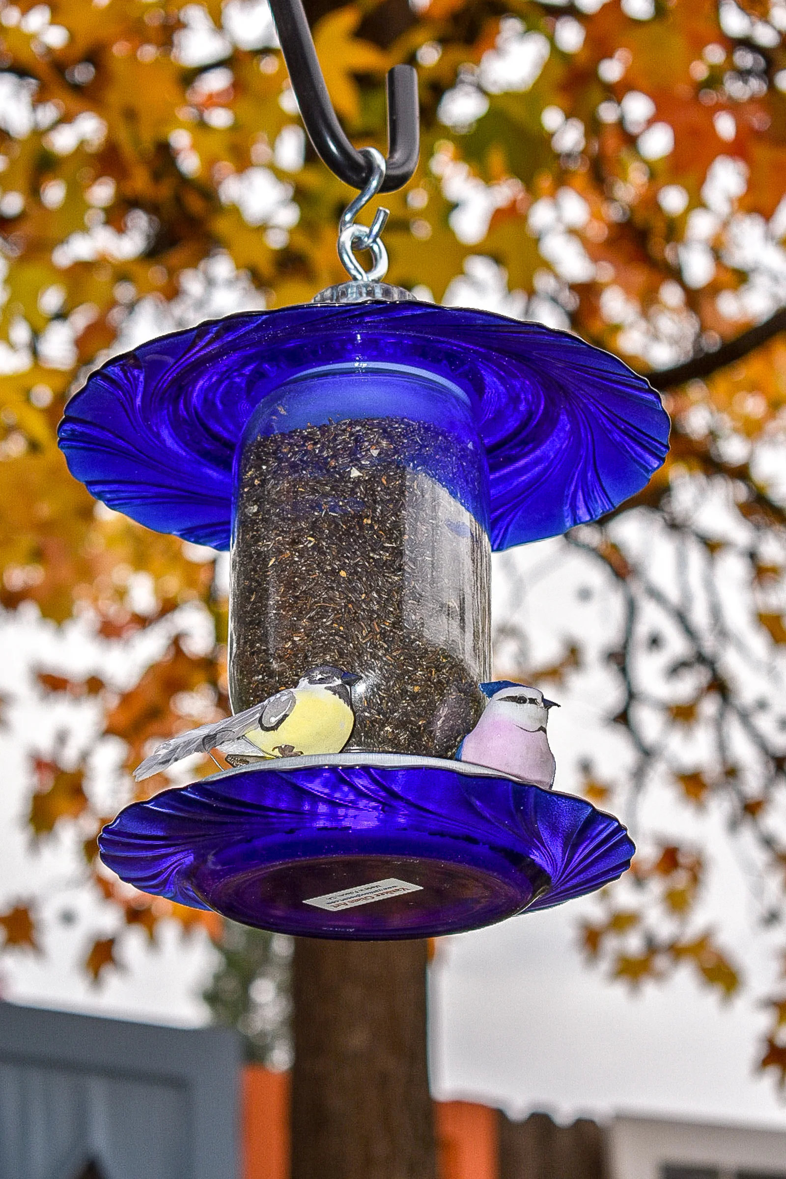 Finchfeeder256b.jpg