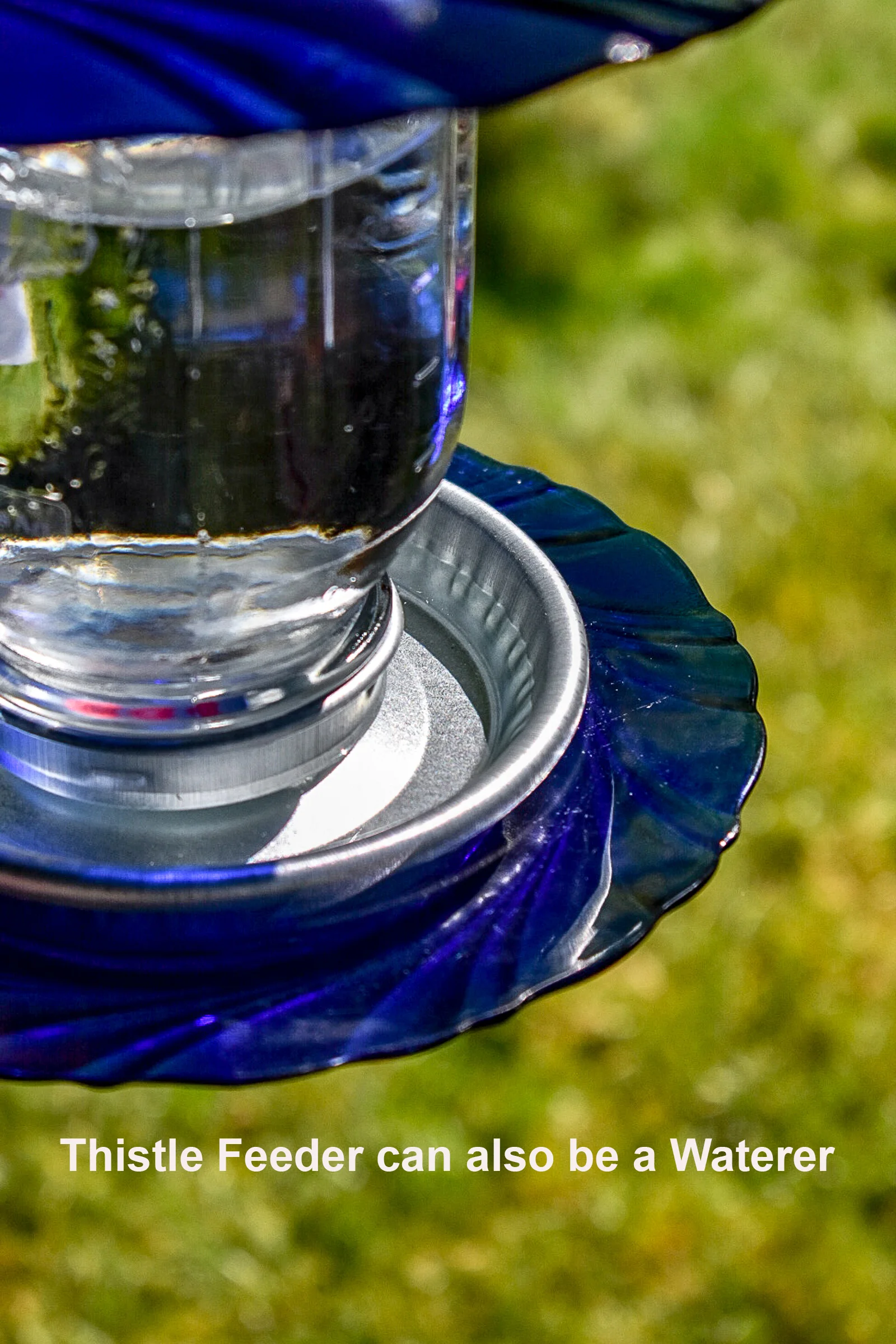 Finchfeeder100a copy.jpg