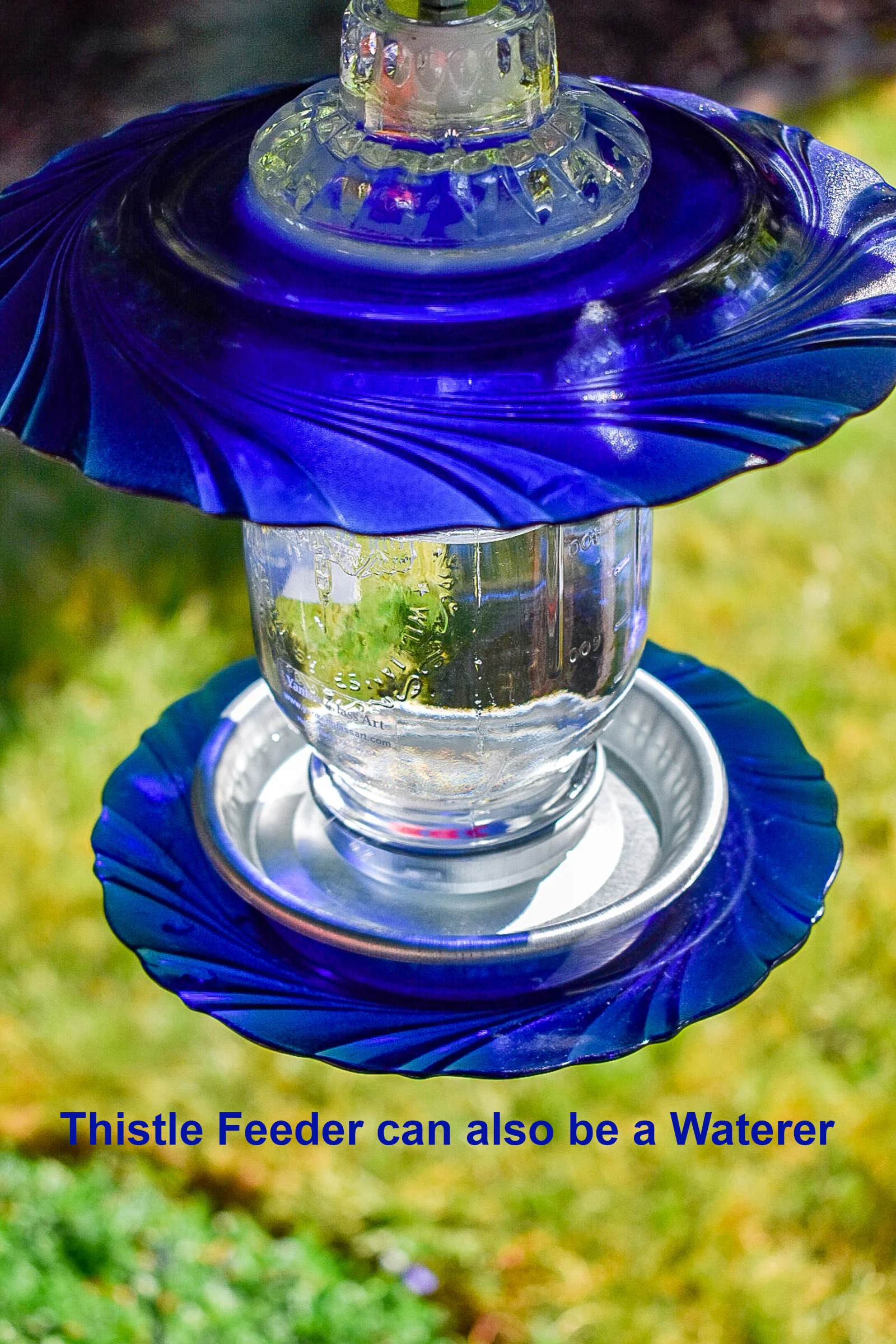 Finchfeeder100b copy.jpg
