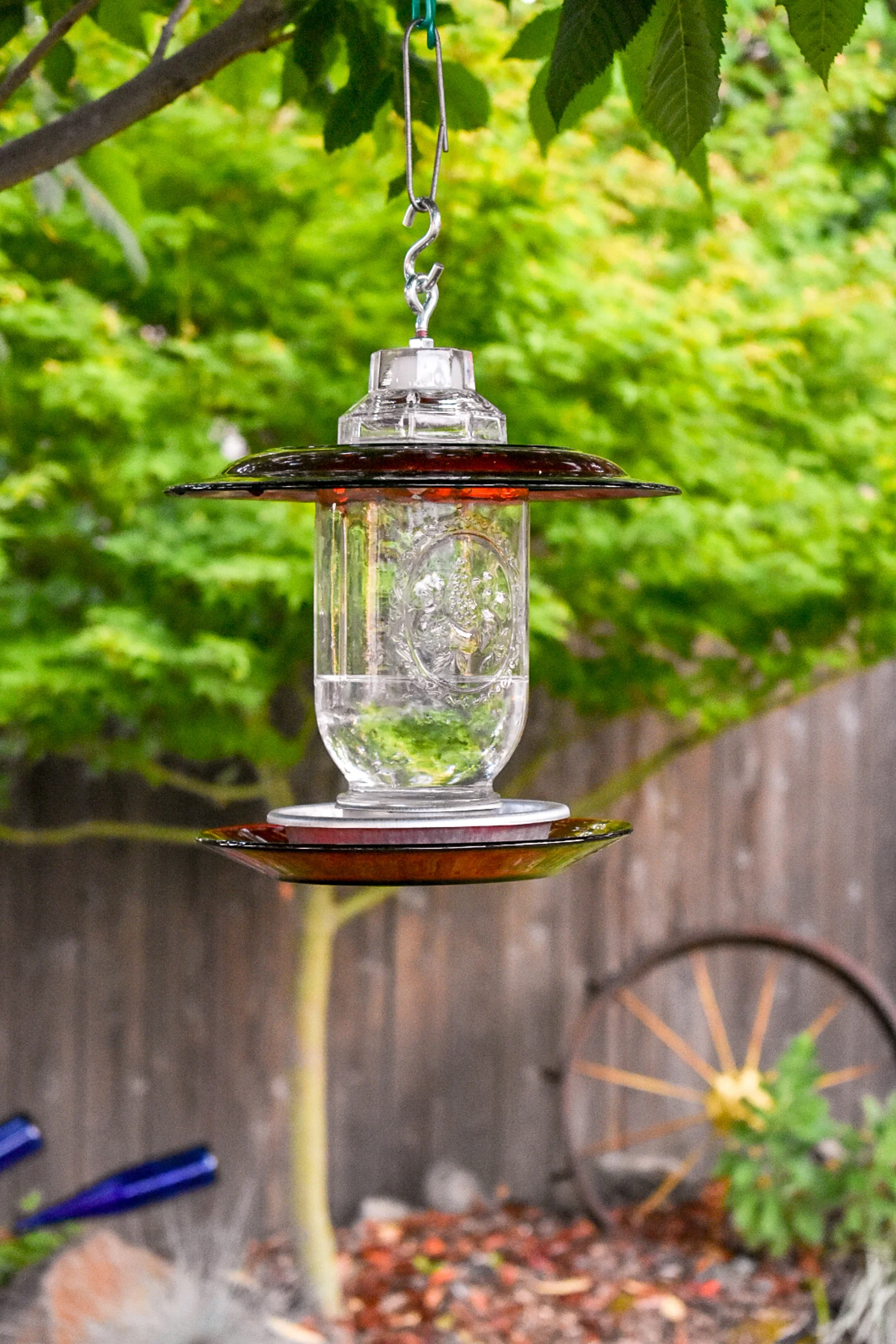 Finchfeeder105f.jpg