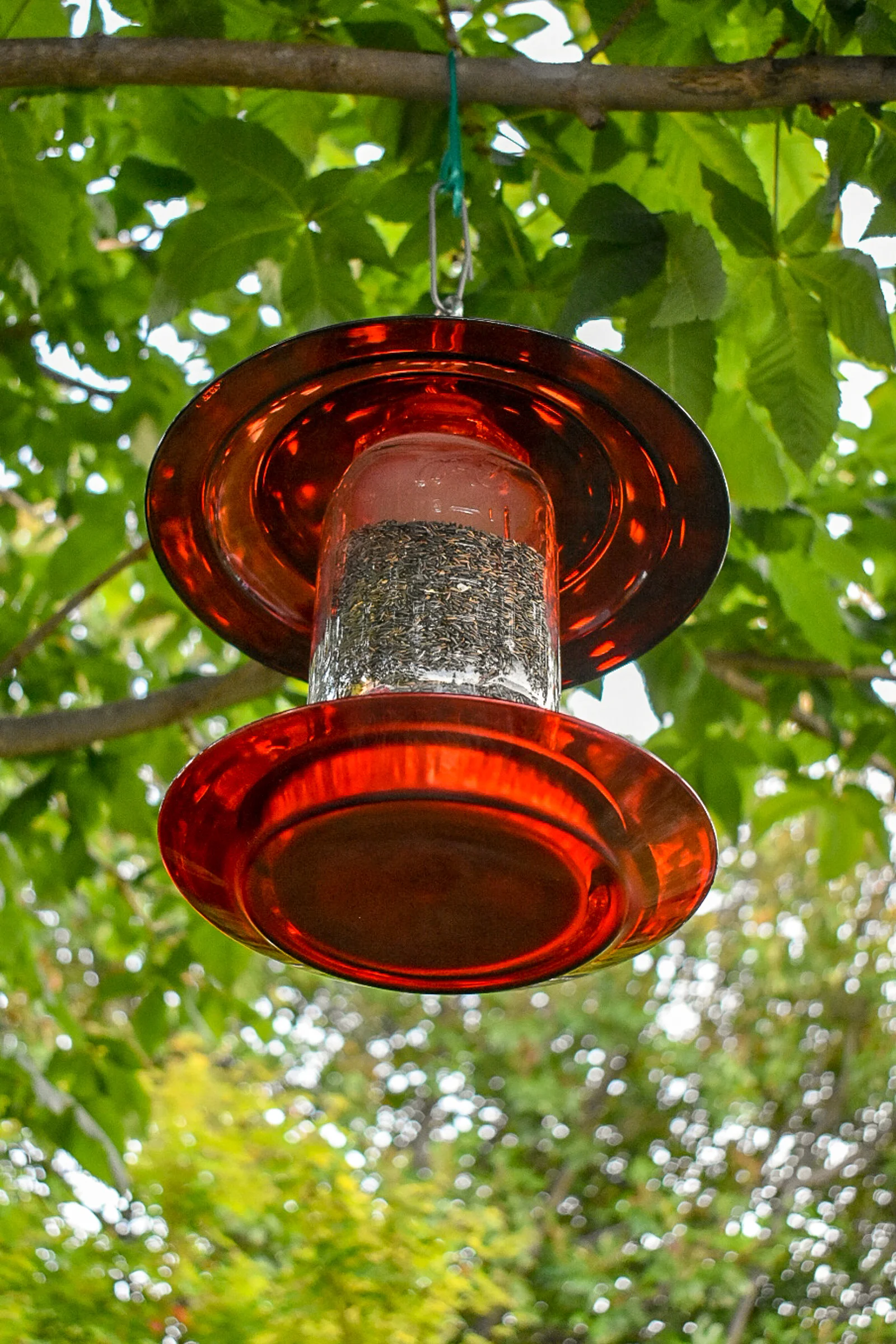 Finchfeeder105g.jpg