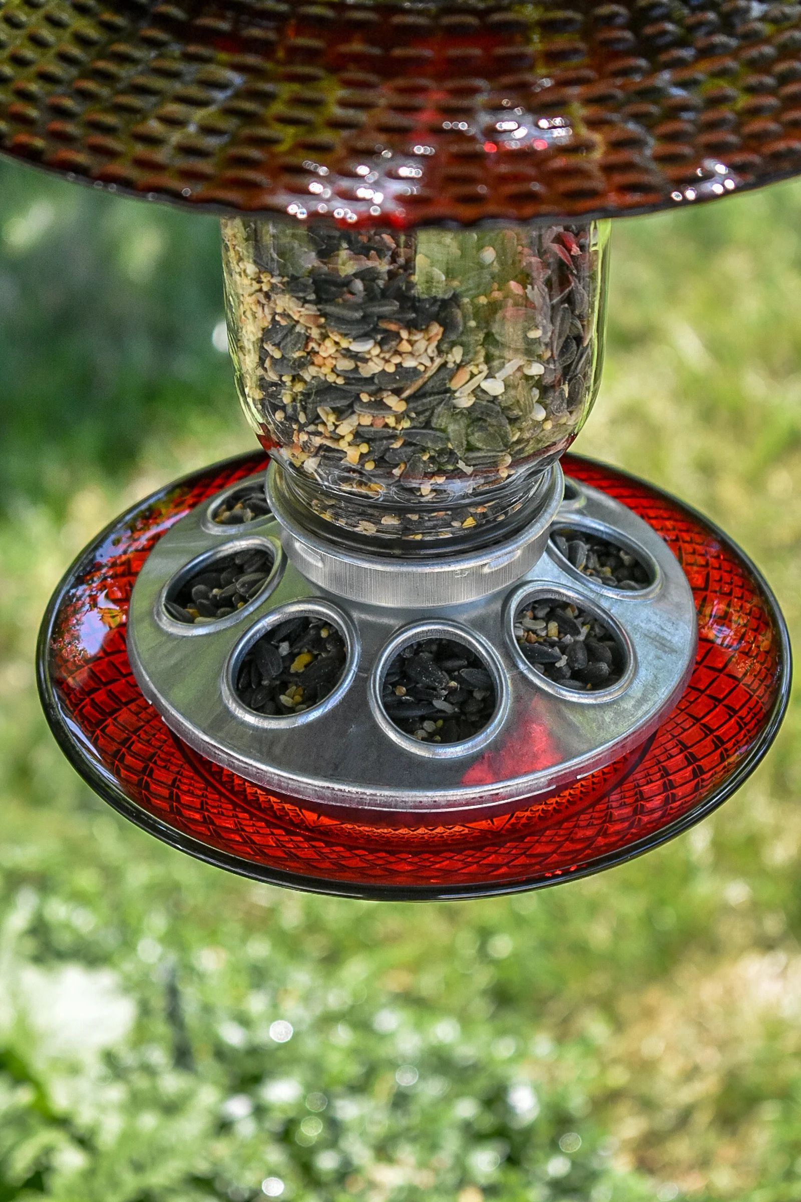 Birdfeeder 358d.jpg