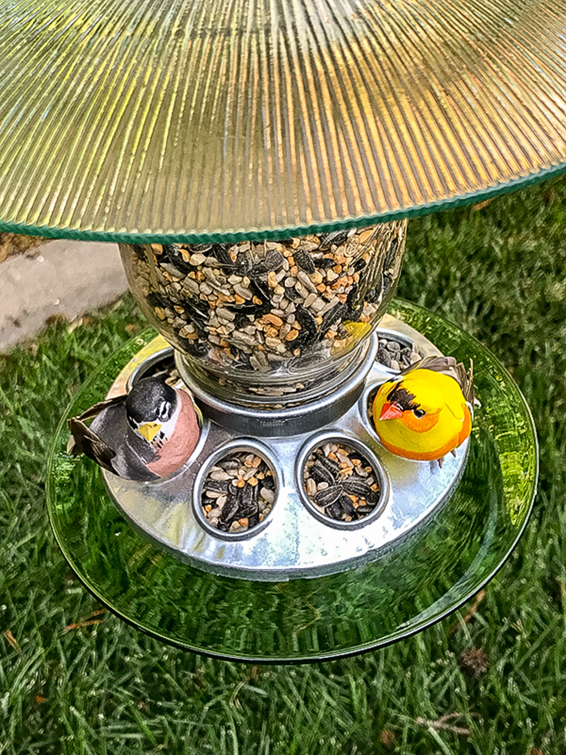 Birdfeeder201D-2.jpg