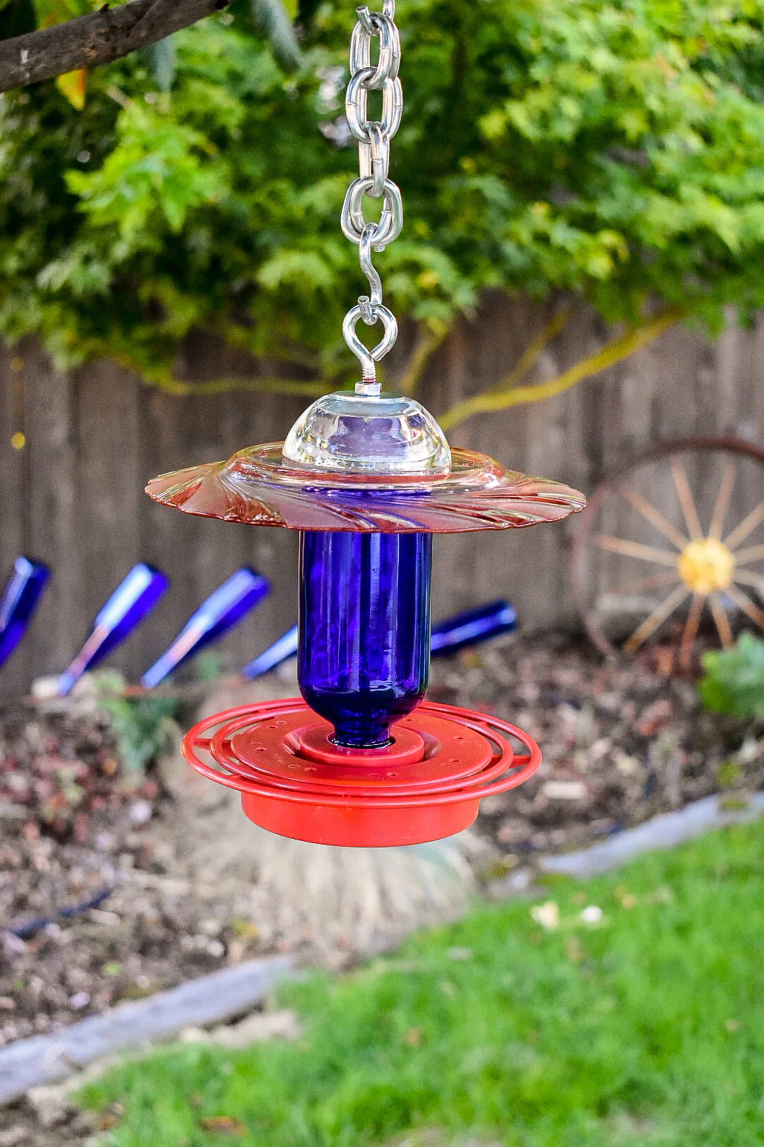 Hummingbird190a.jpg