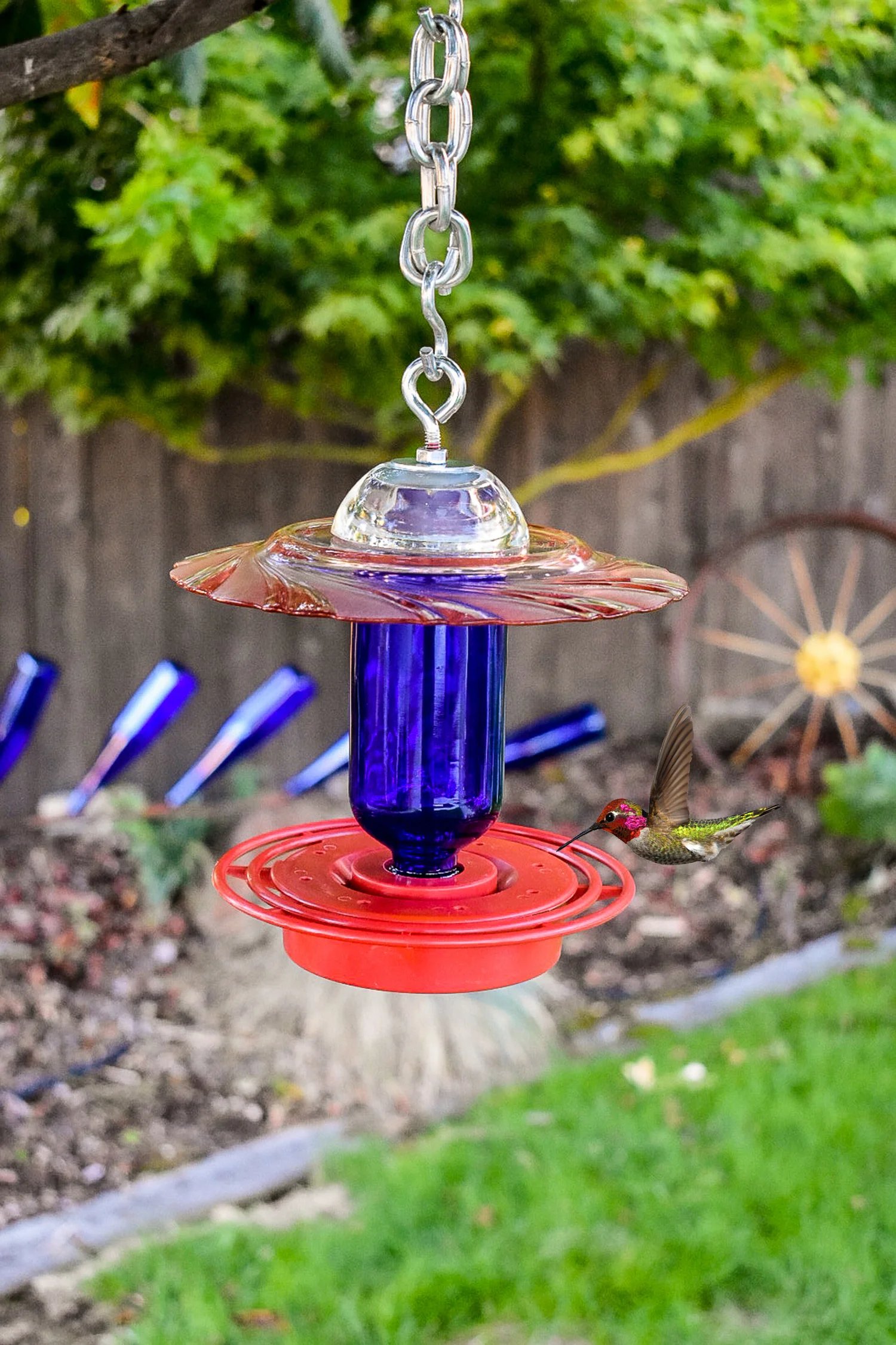 Hummingbird190a copy.jpg