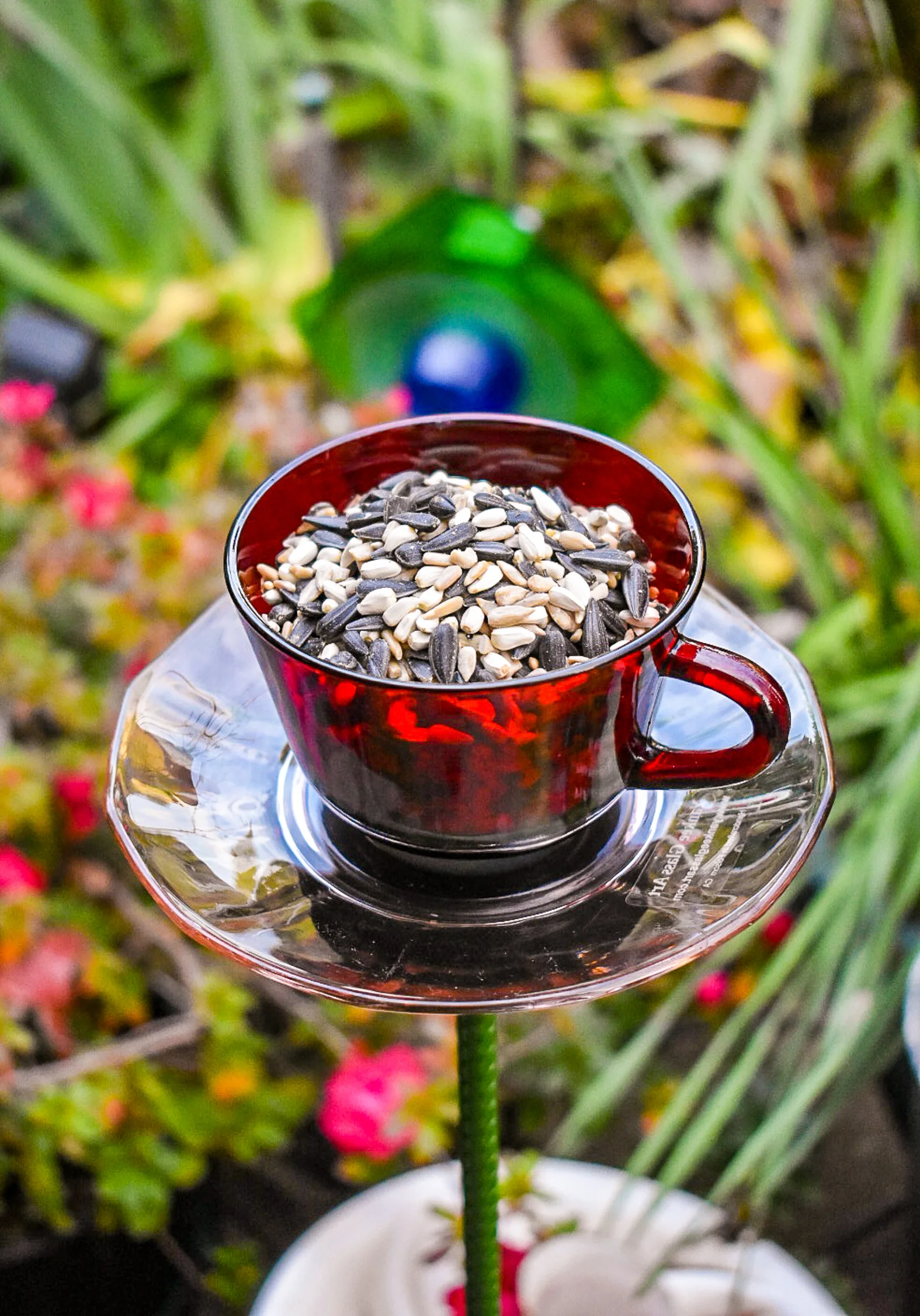 Teacup101a.jpg