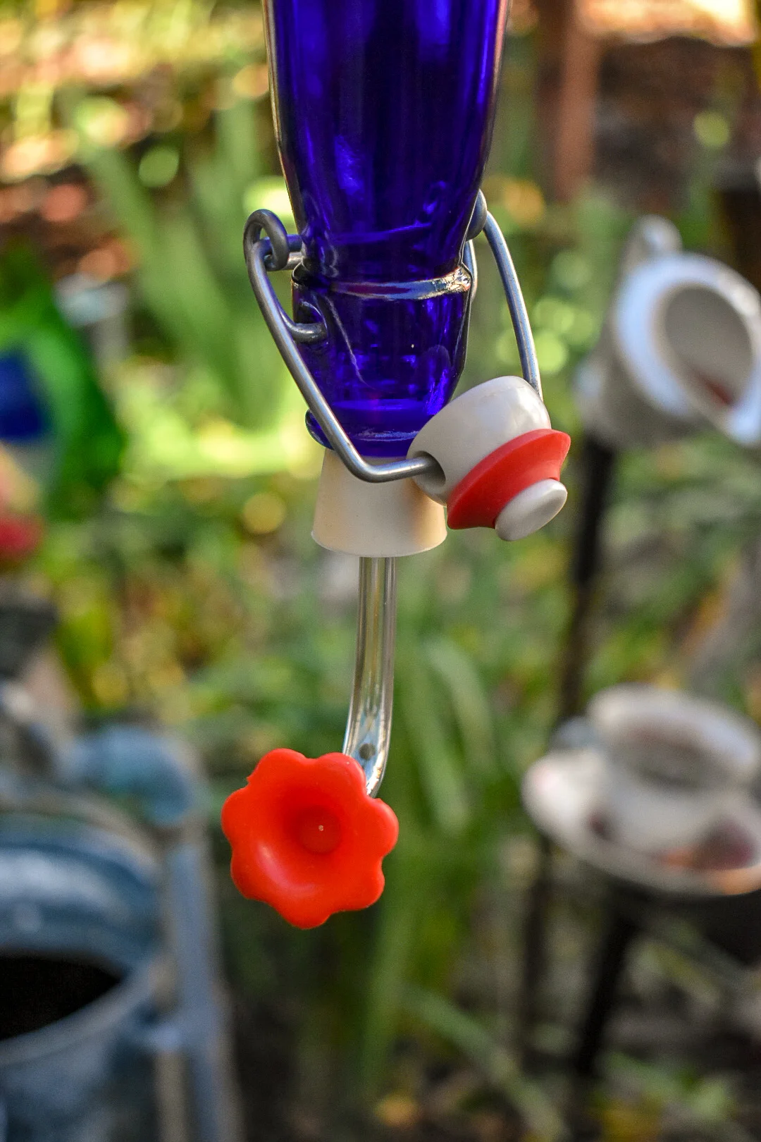 Hummingbird234e.jpg