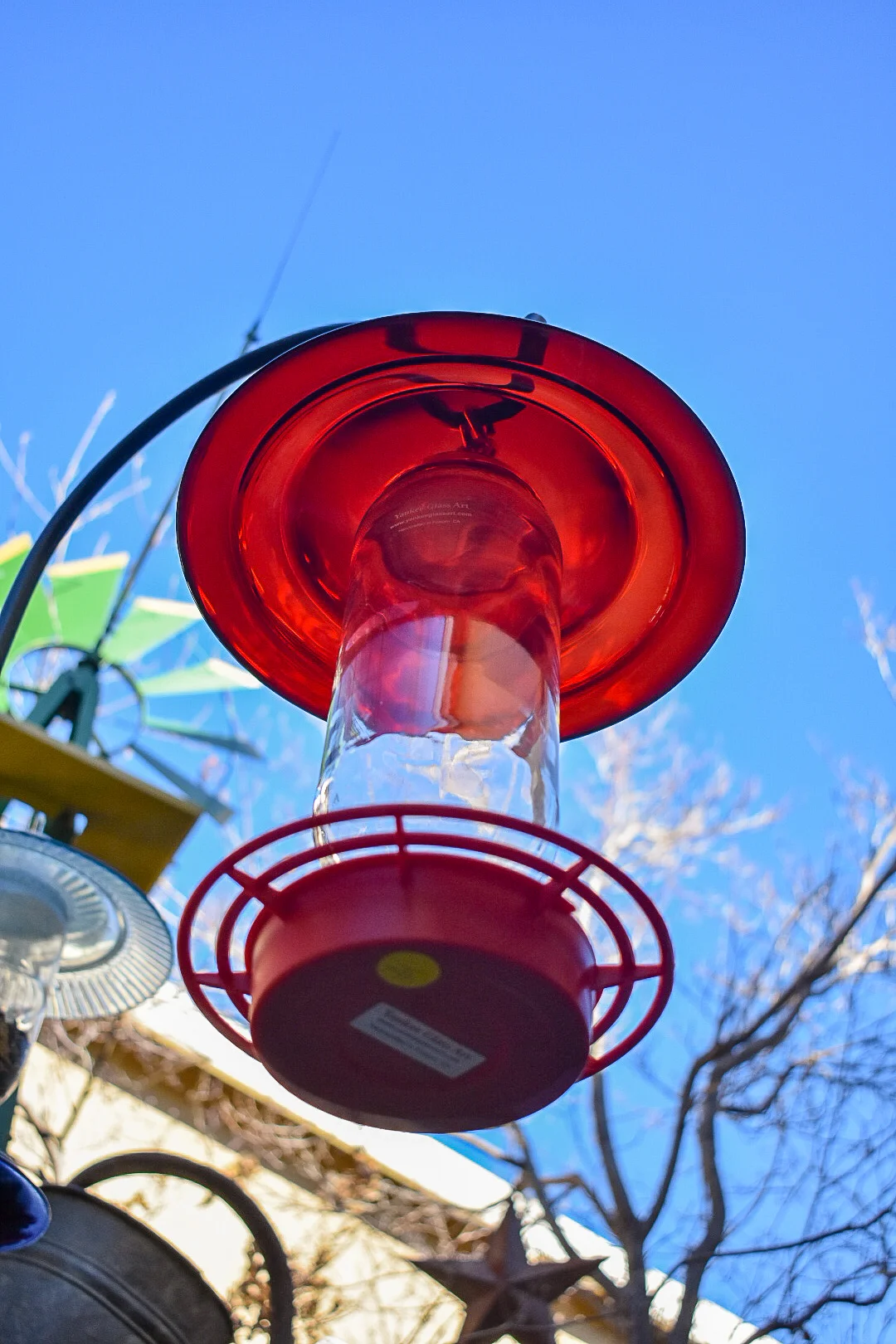 Hummingbird208d.jpg