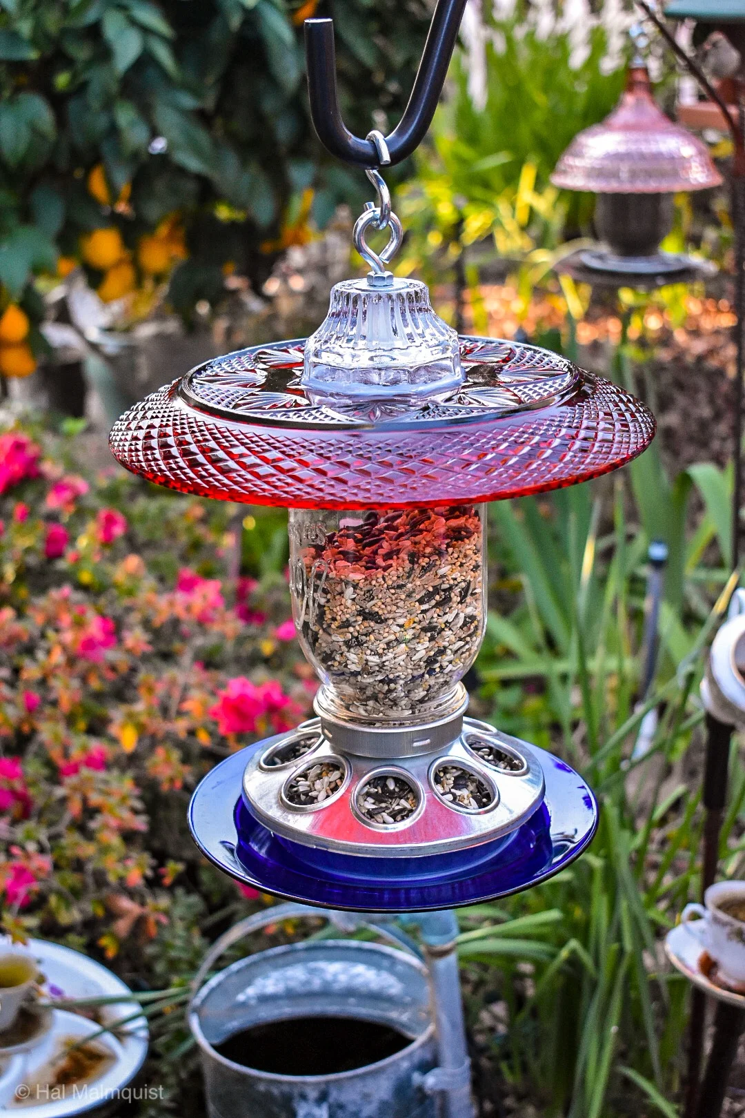Birdfeeder465b.jpg