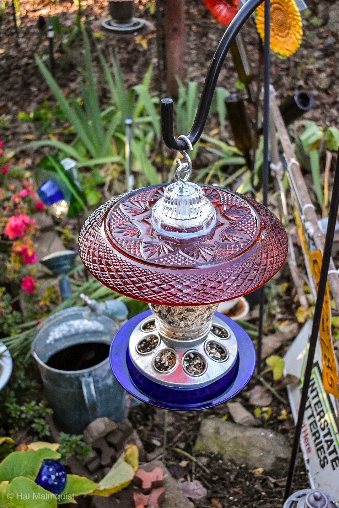 Birdfeeder465c.jpg