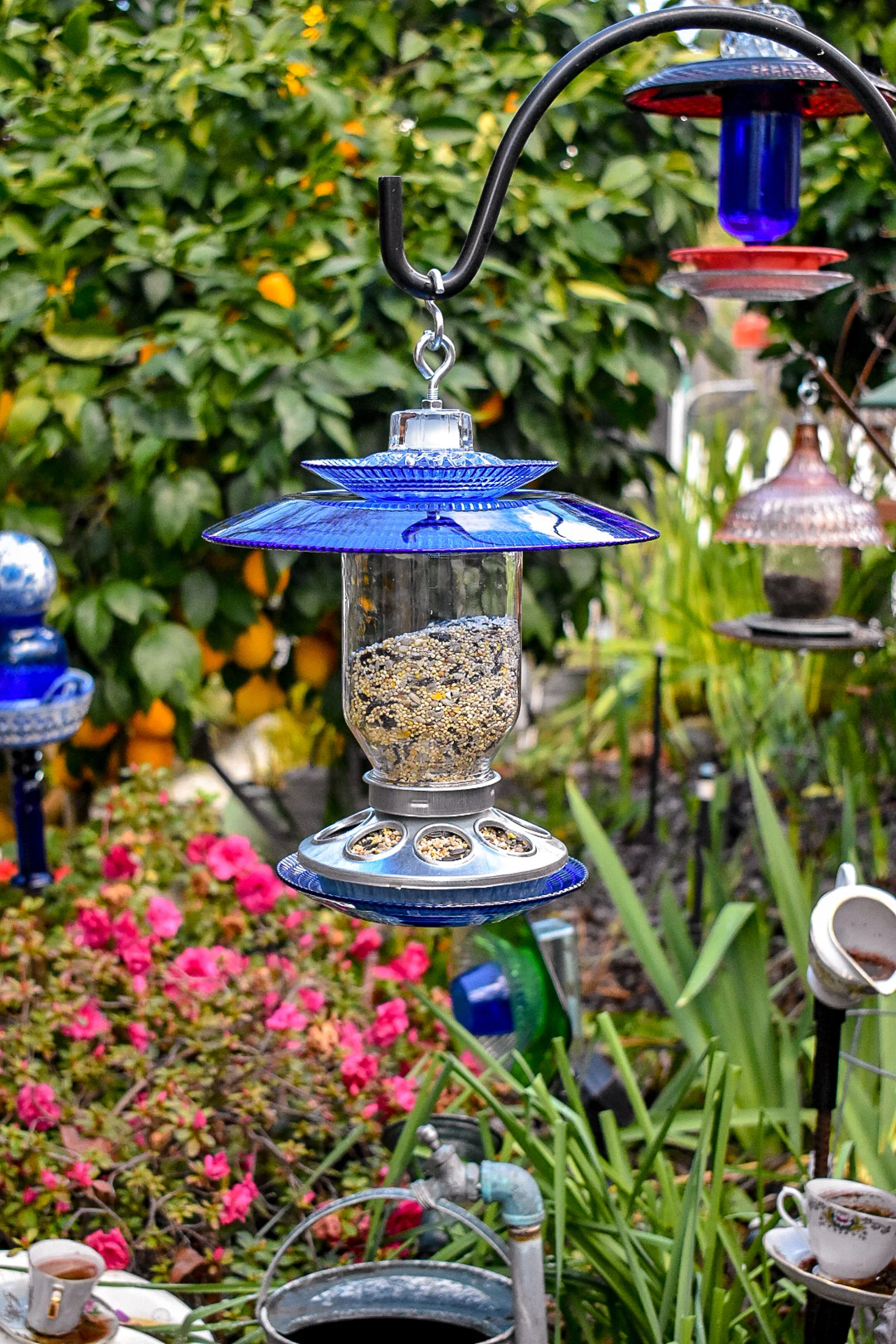 Blue Berry Feeder Bird Feeder Handmade Mason Jar Great Gift For