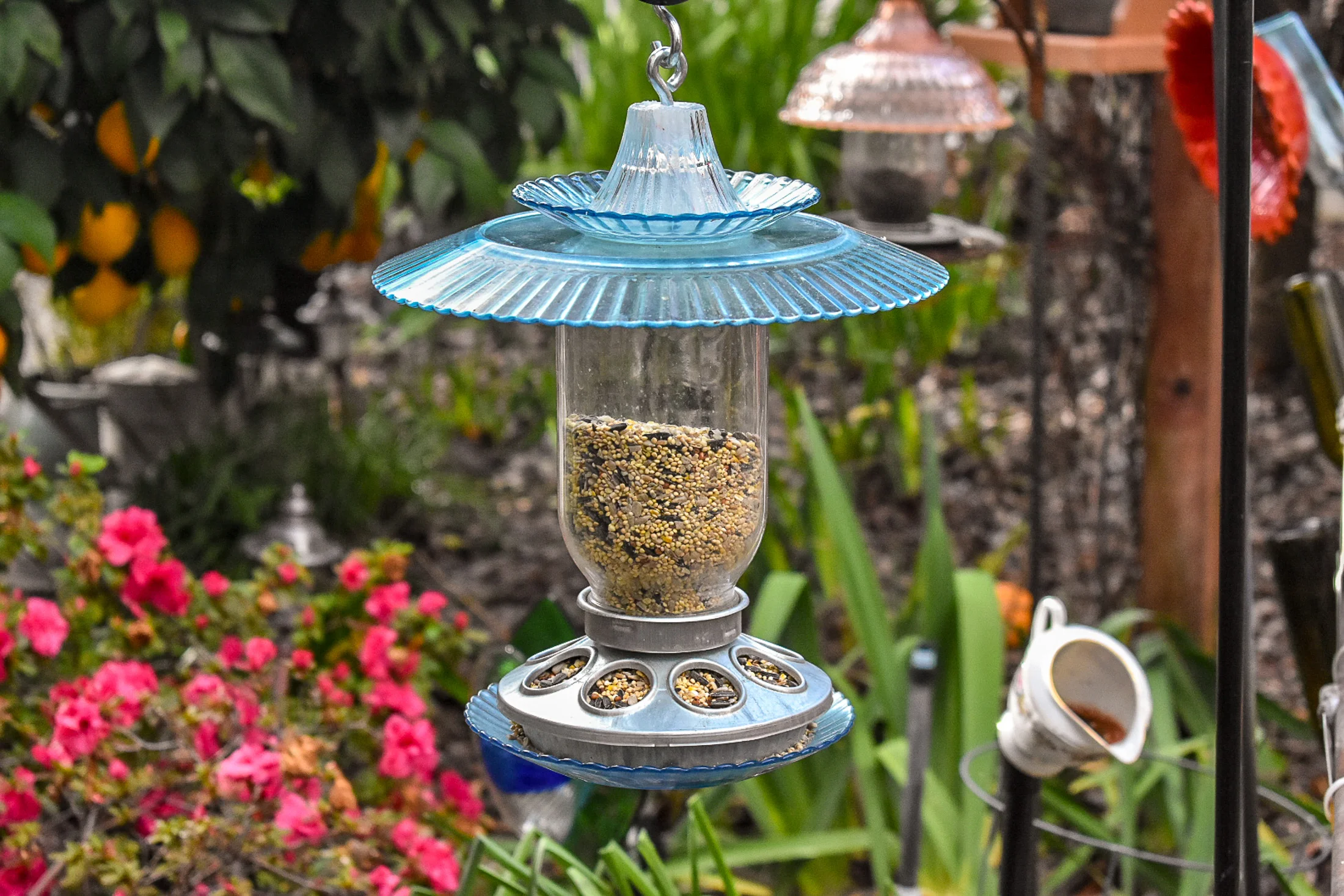 Birdfeeder476c.jpg