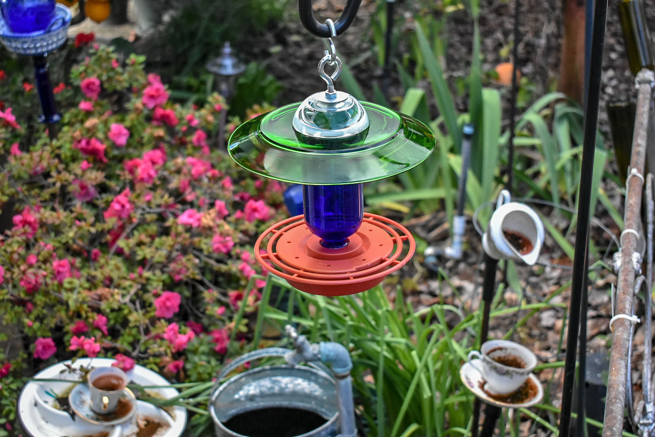 Hummingbird259e.jpg