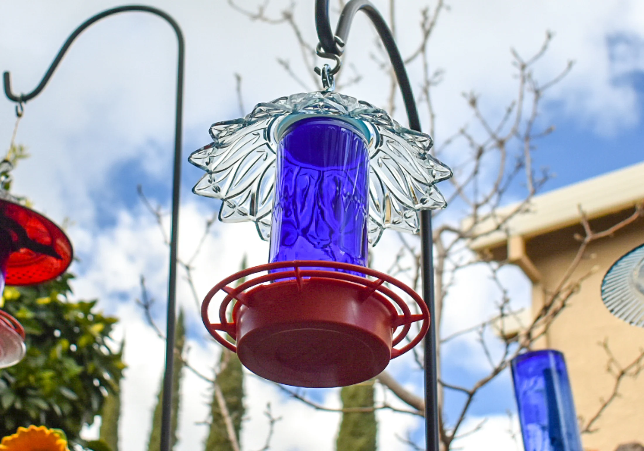 Hummingbird257k.jpg