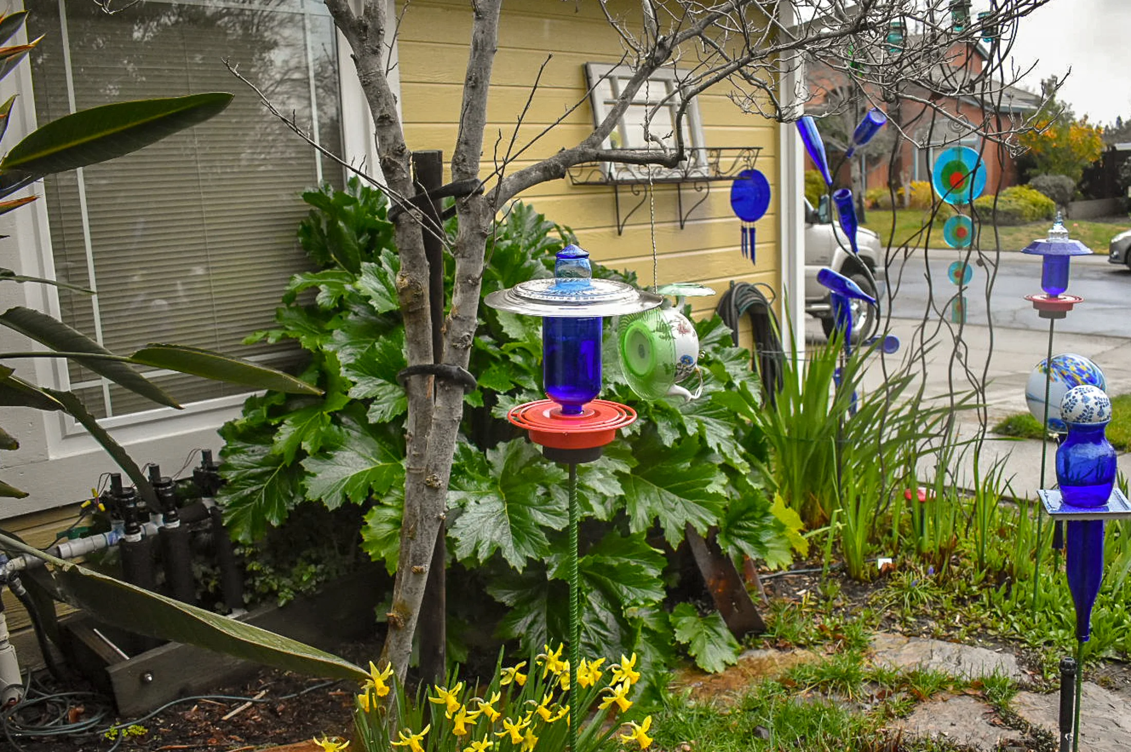 Hummingbird239b.jpg