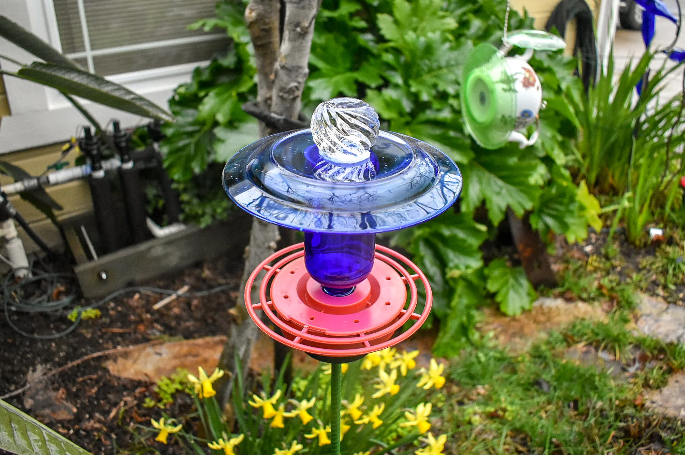 Hummingbird240d.jpg