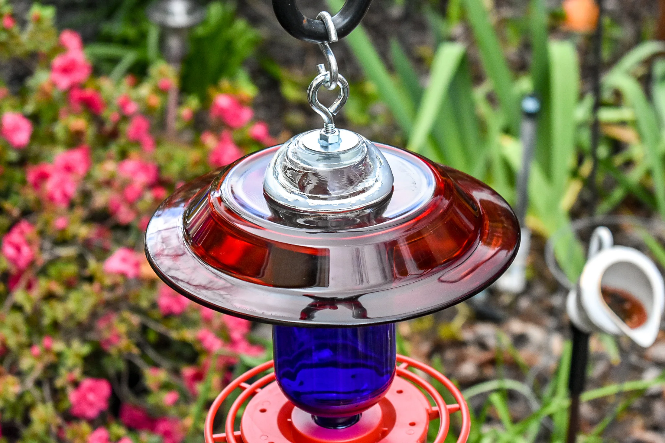 Hummingbird250h.jpg