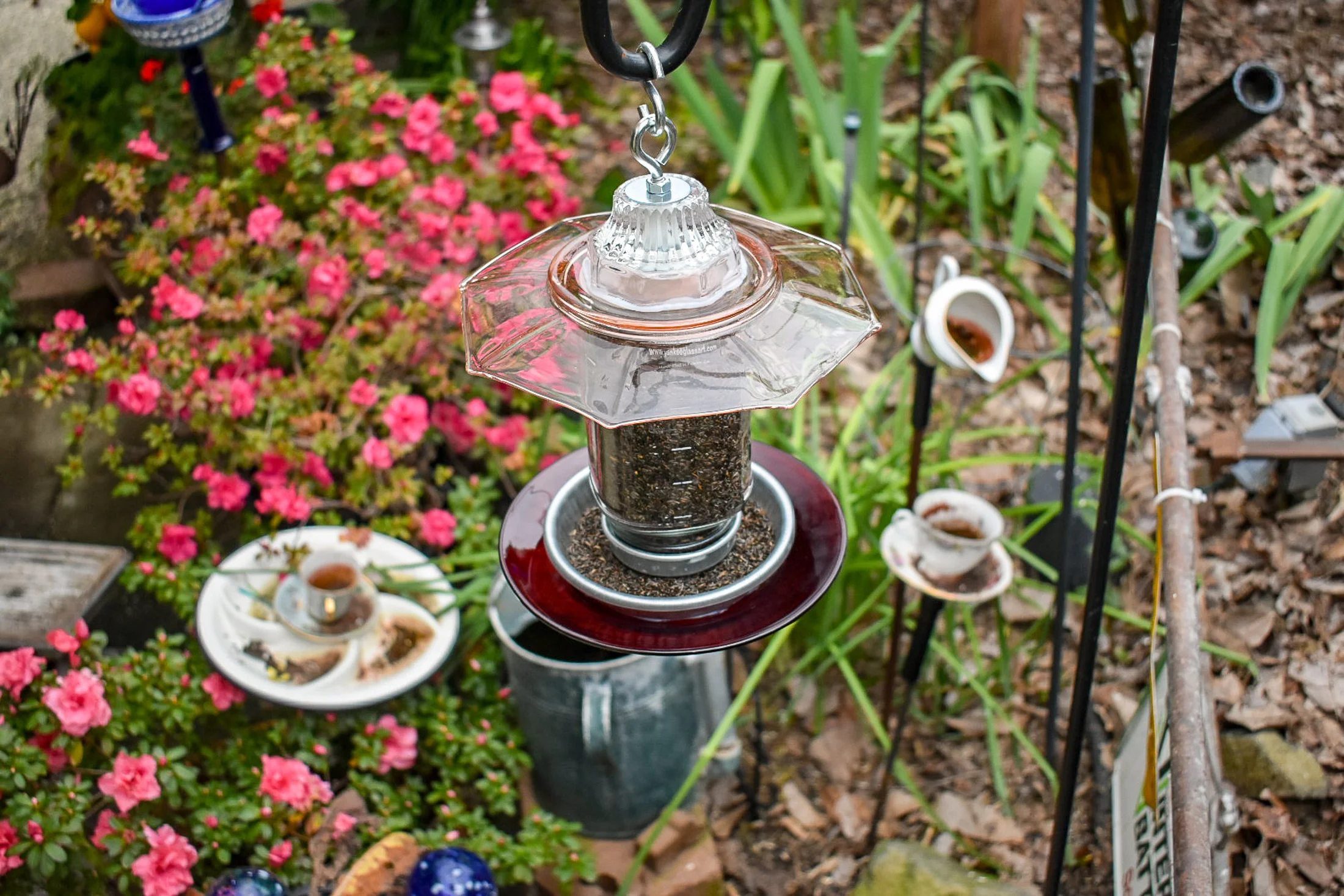 DSC_0003.jpg