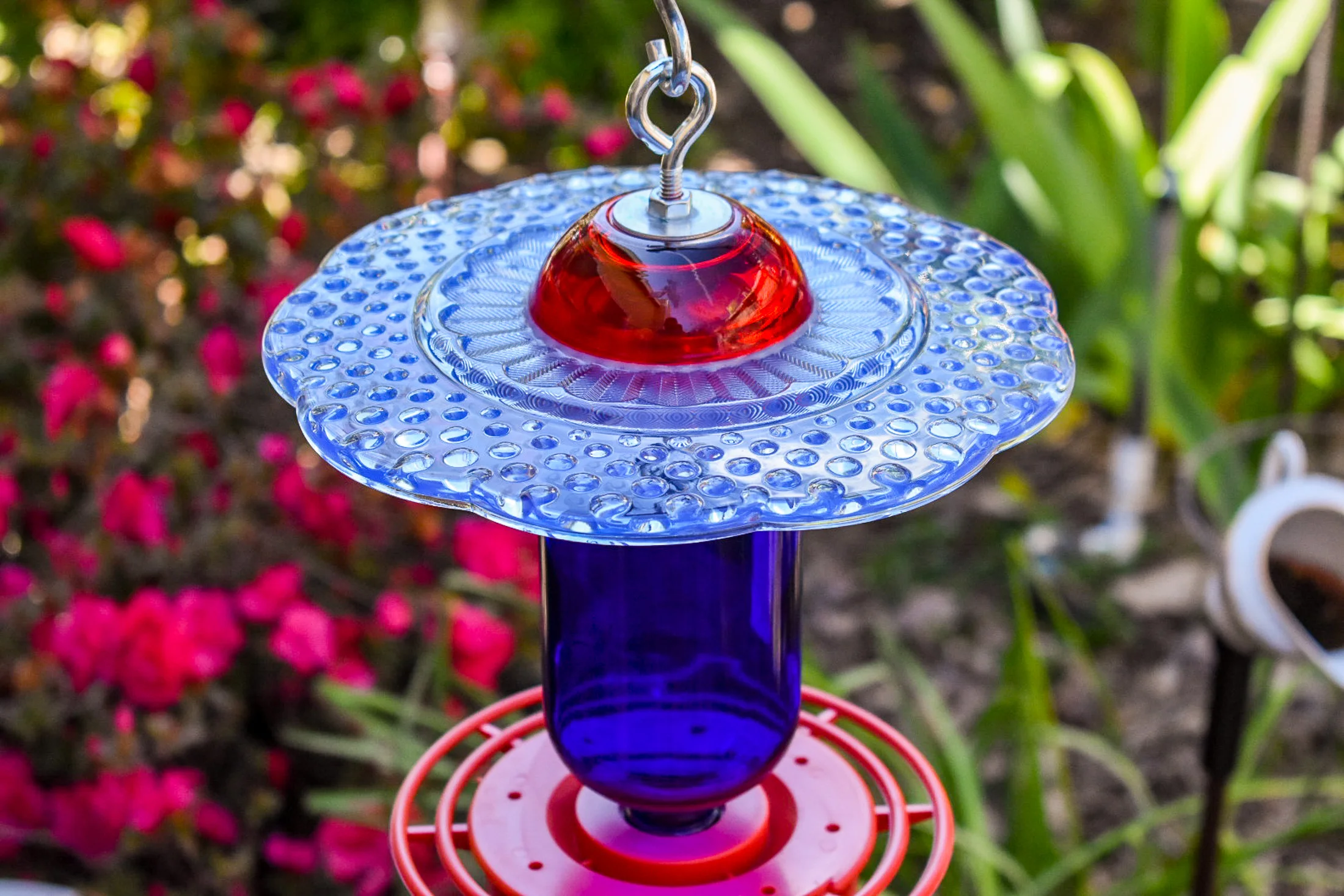 Hummingbird277h.jpg