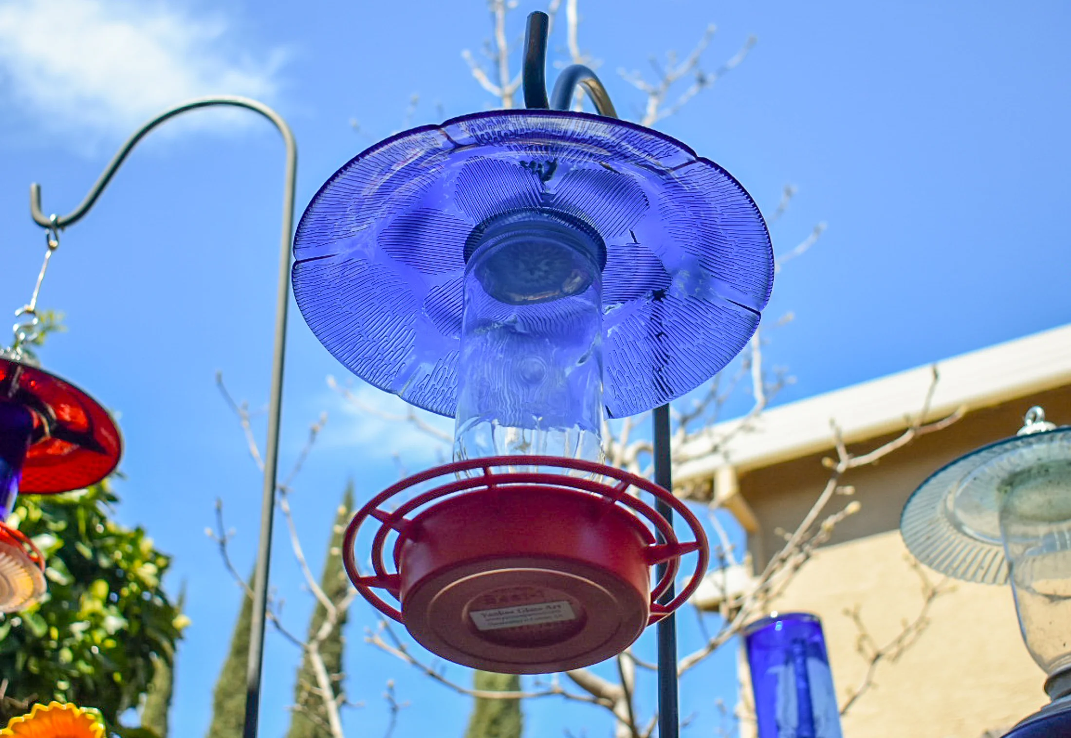 Hummingbird278d.jpg