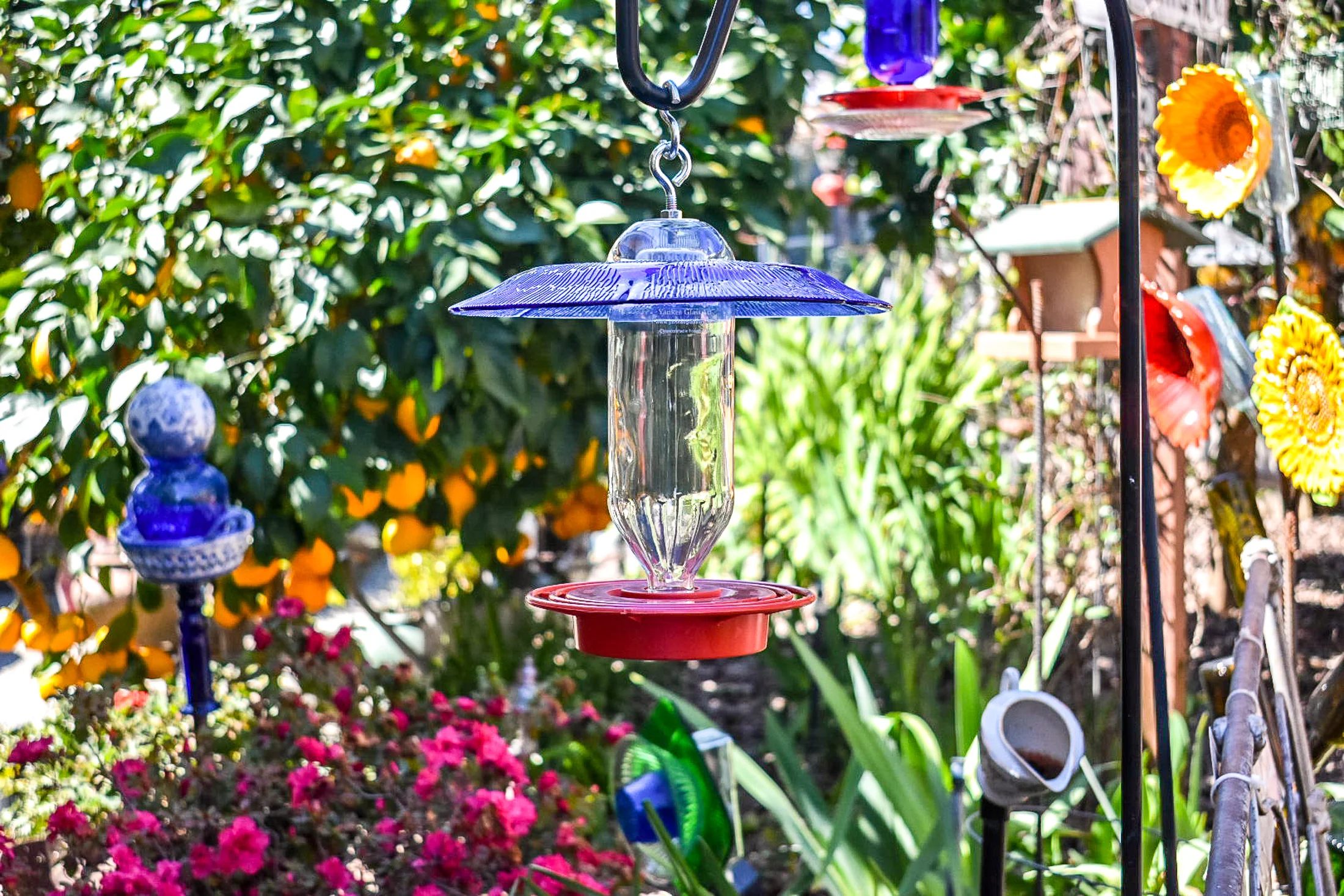Hummingbird278i.jpg