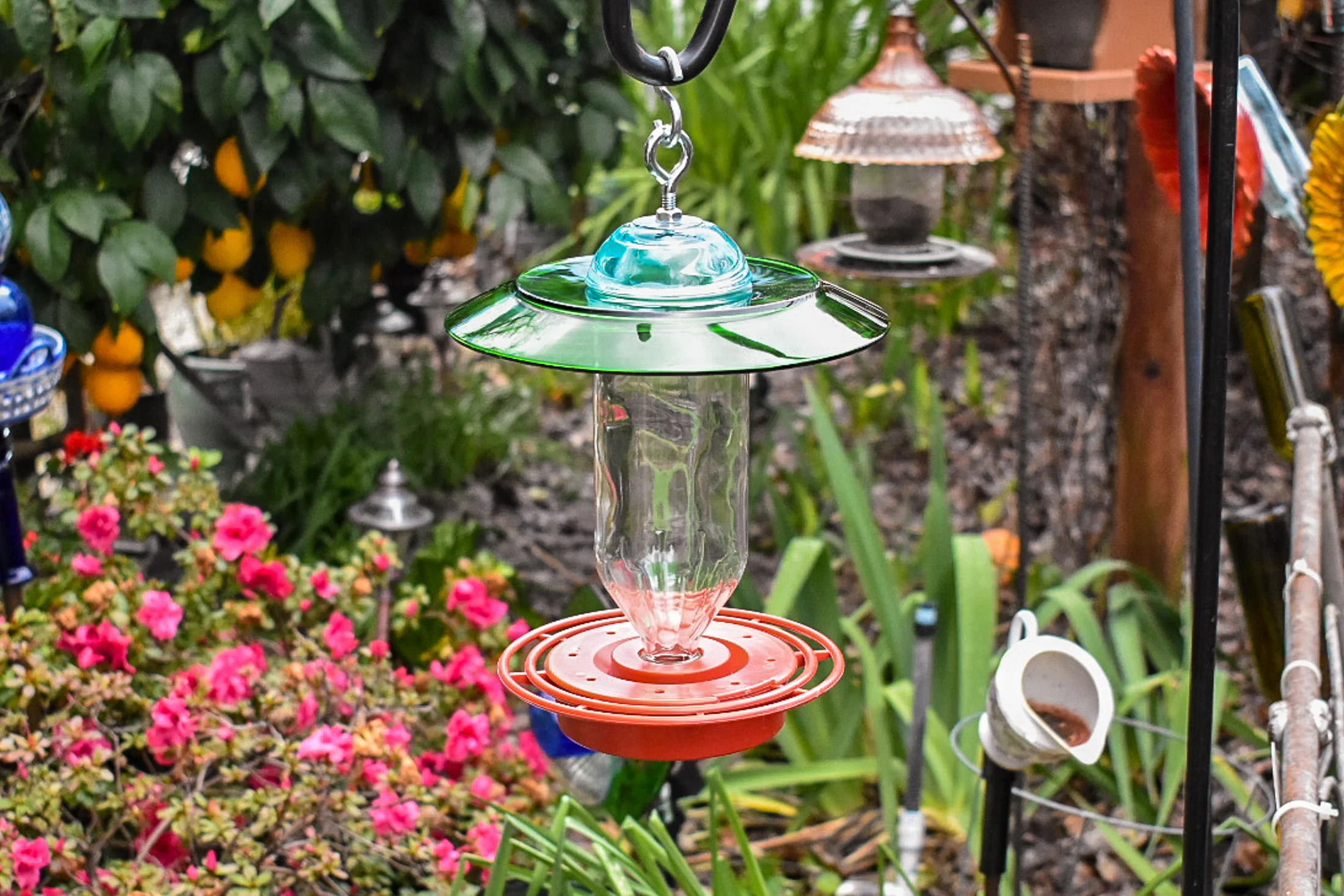 Hummingbird256e.jpg