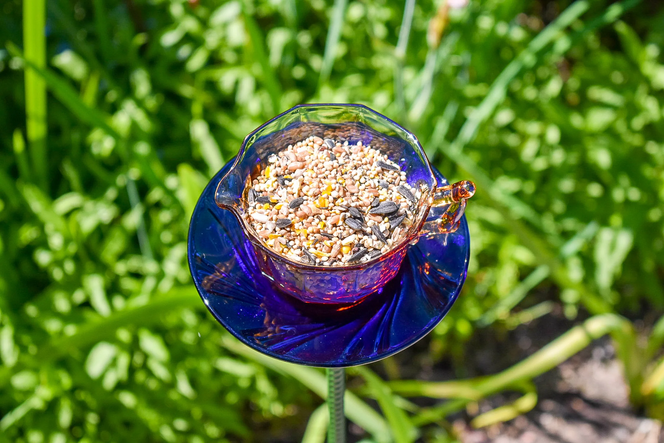 Teacup127h.jpg