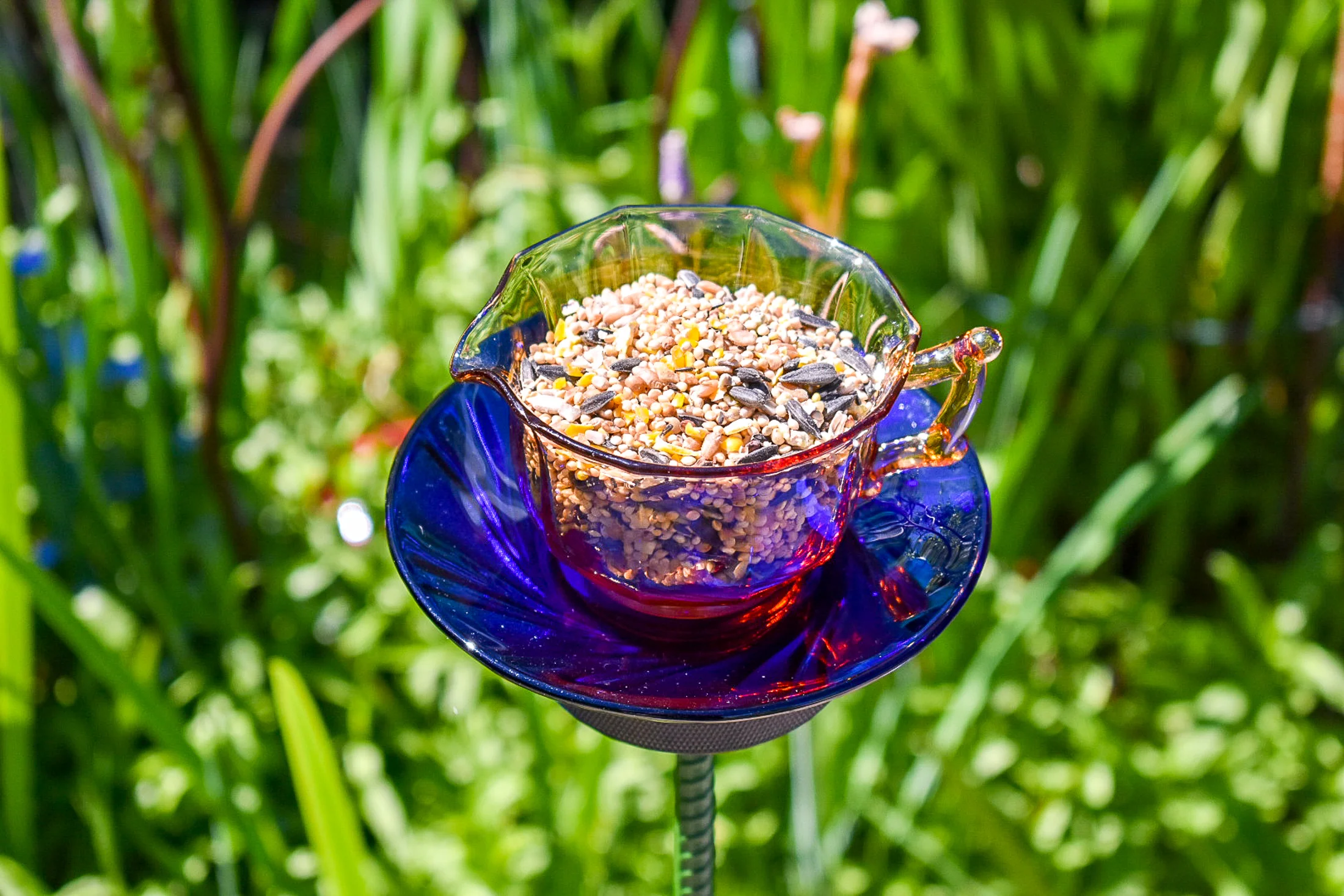 Teacup127g.jpg