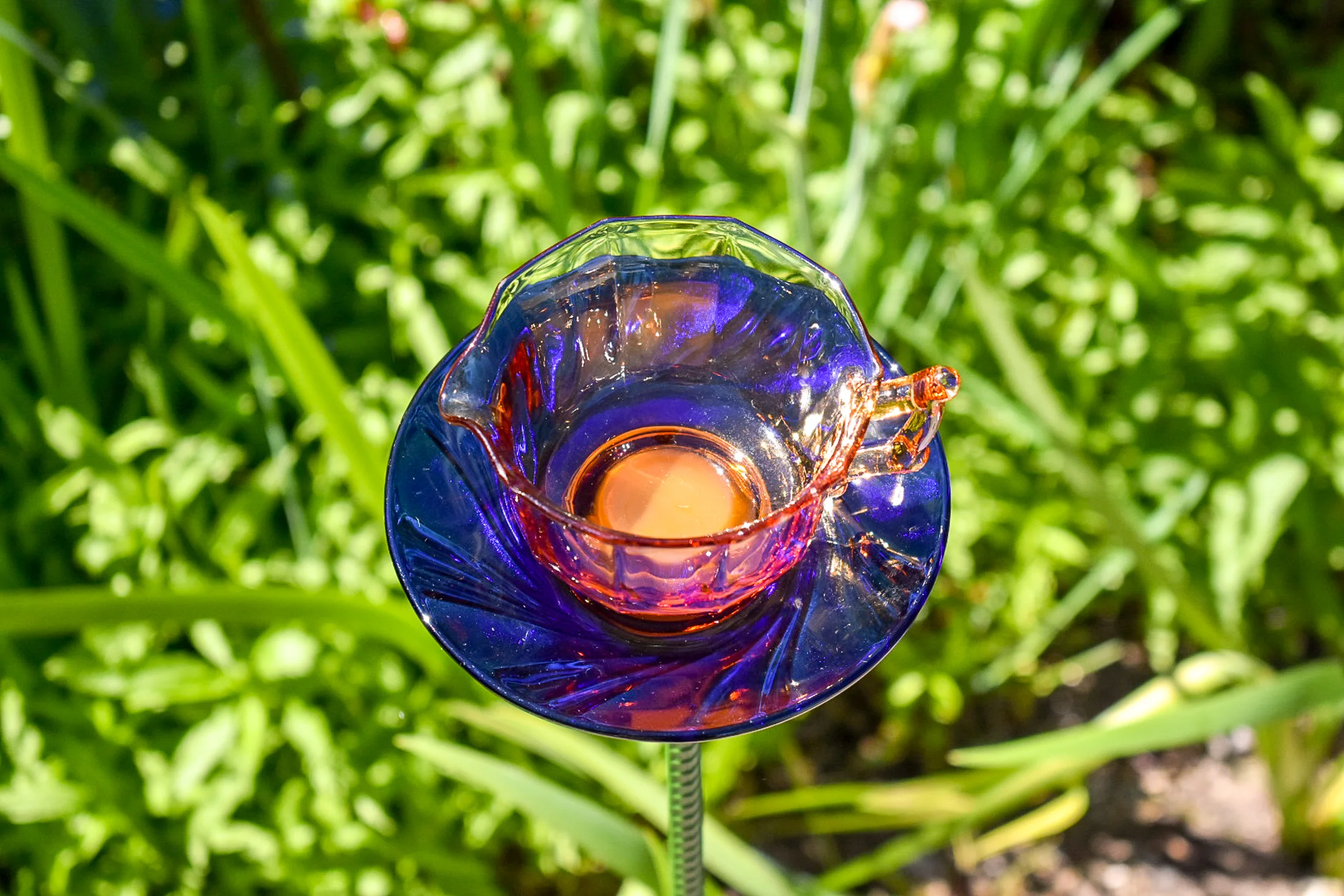 Teacup127d.jpg