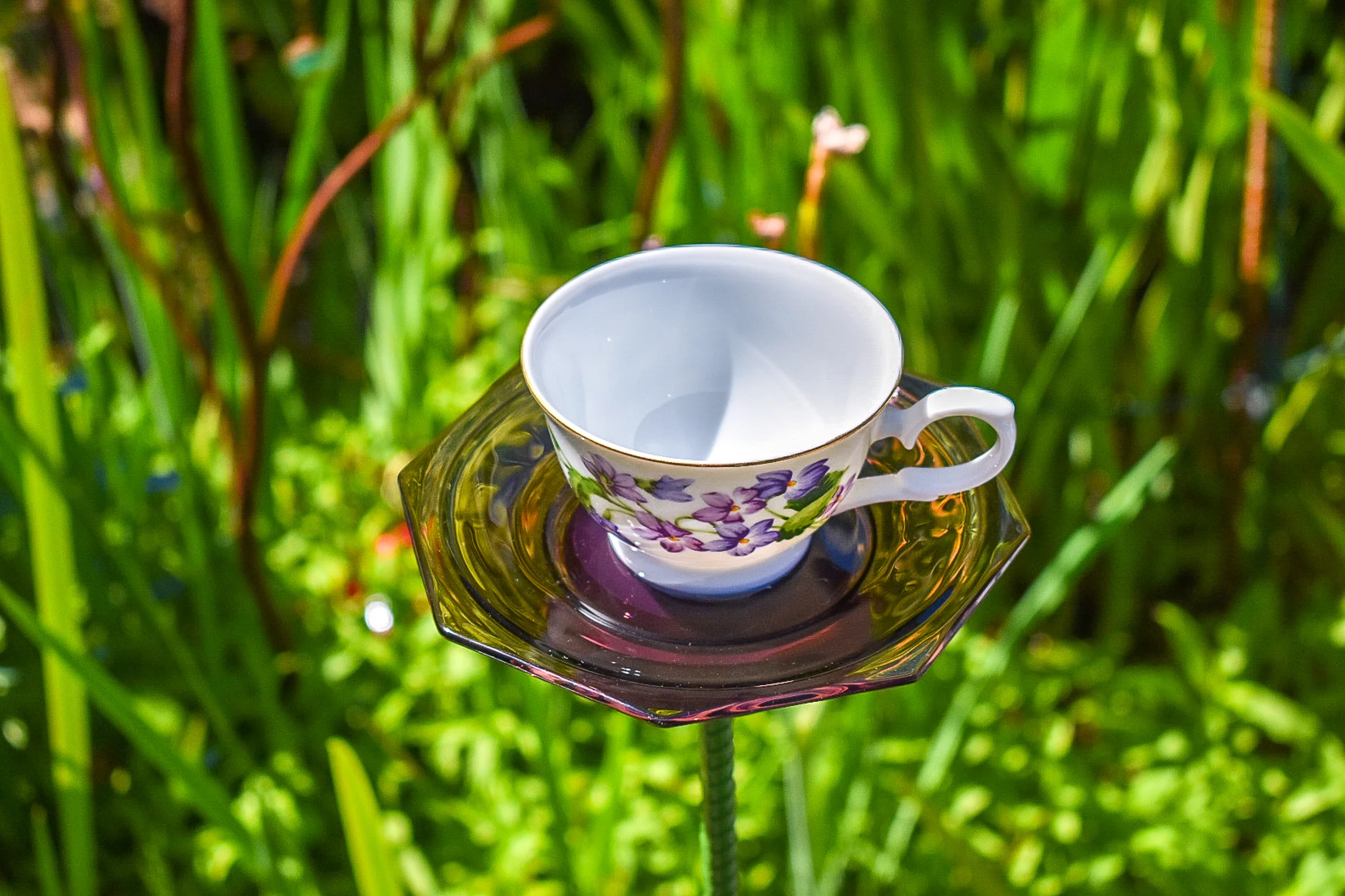Teacup121d.jpg