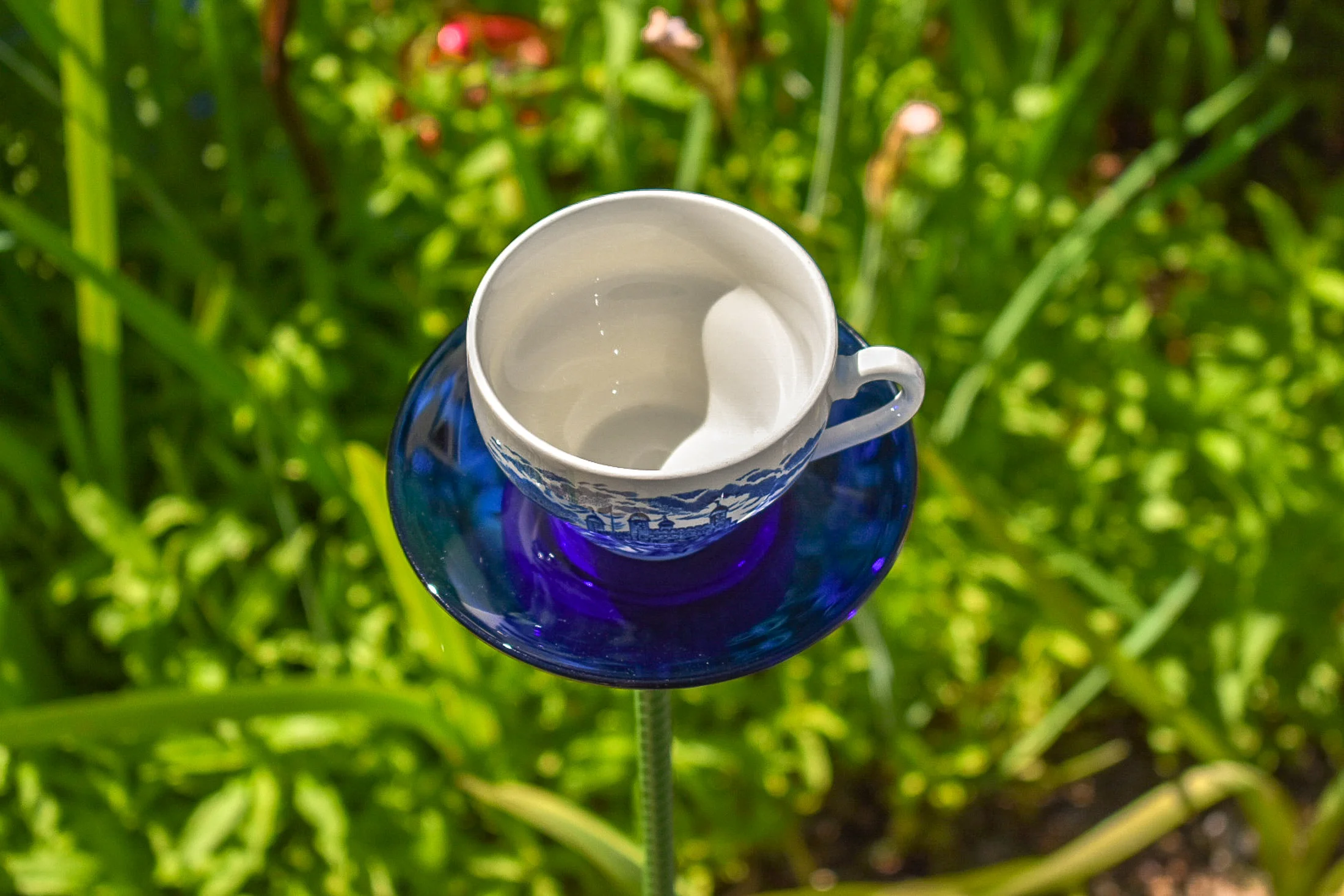 Teacup118d.jpg