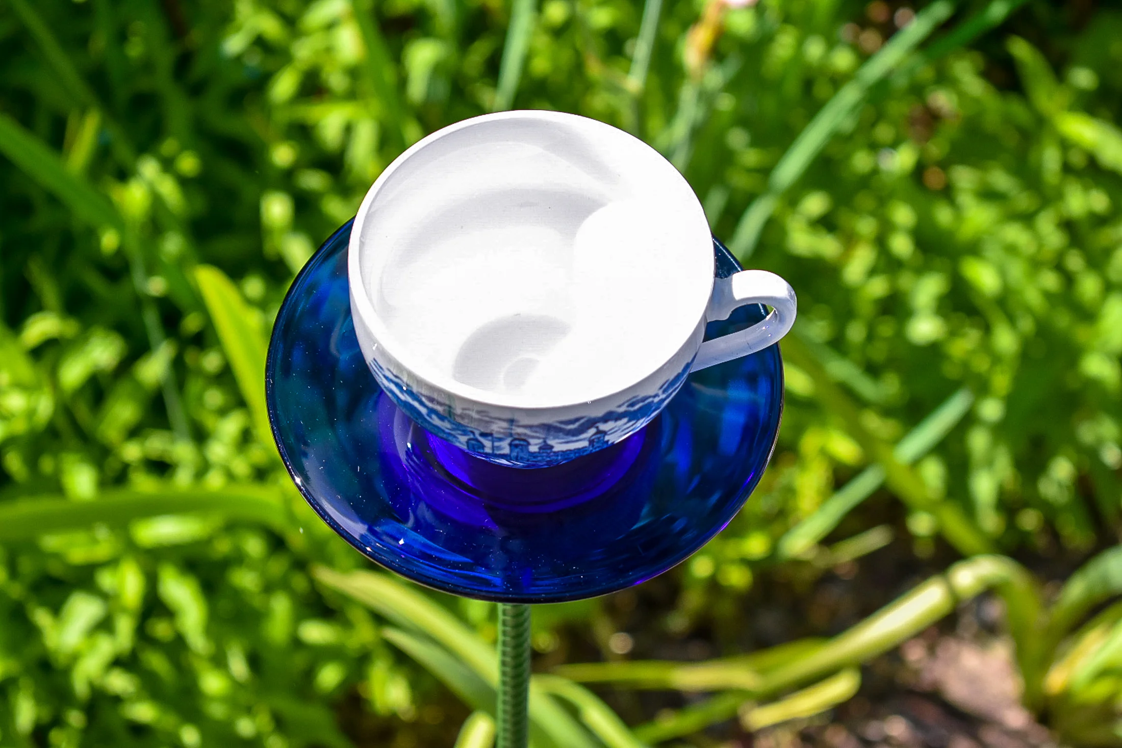 Teacup118e.jpg
