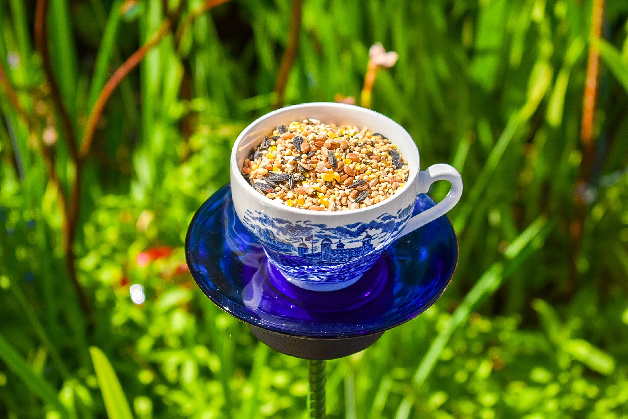Teacup118g.jpg