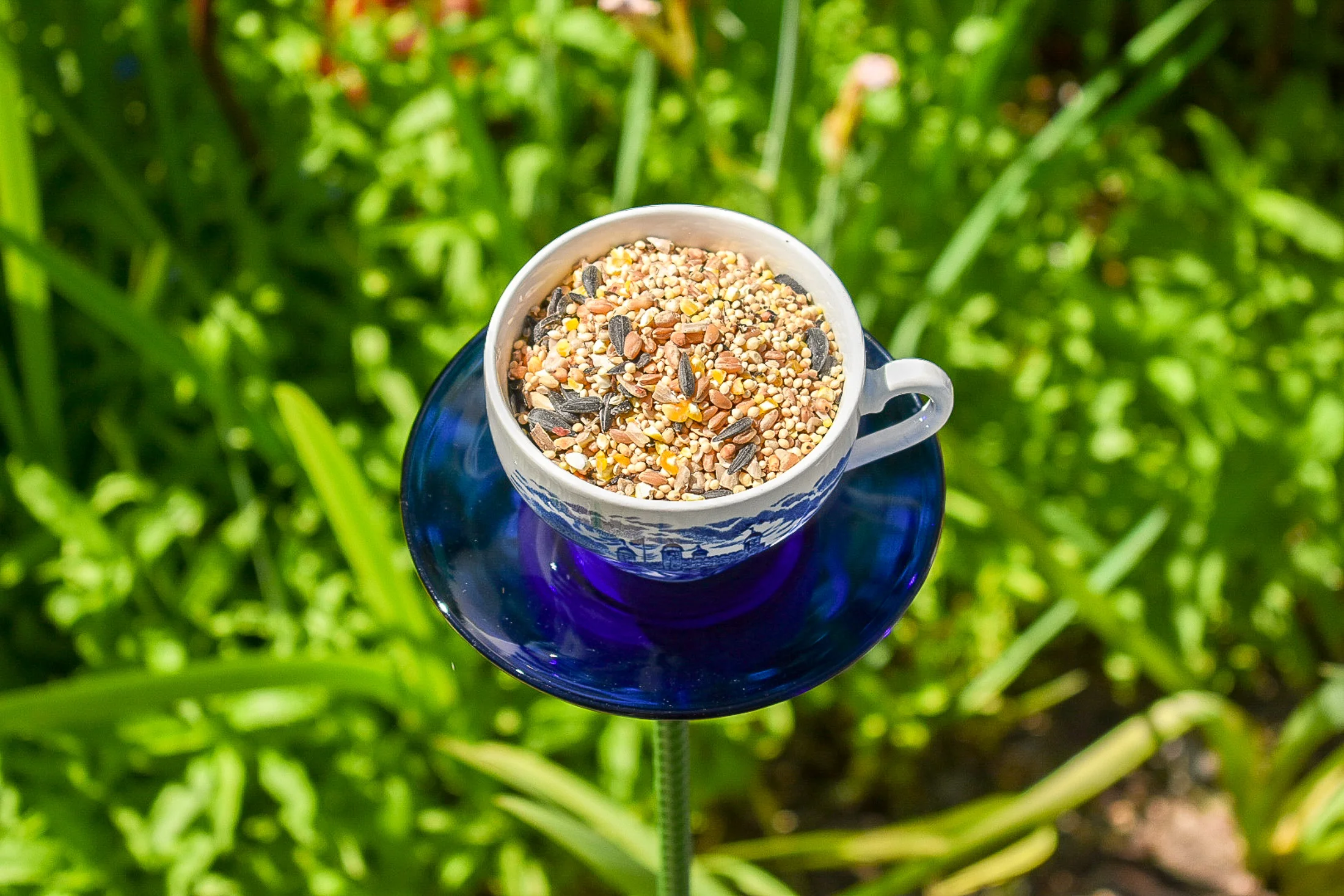 Teacup118h.jpg