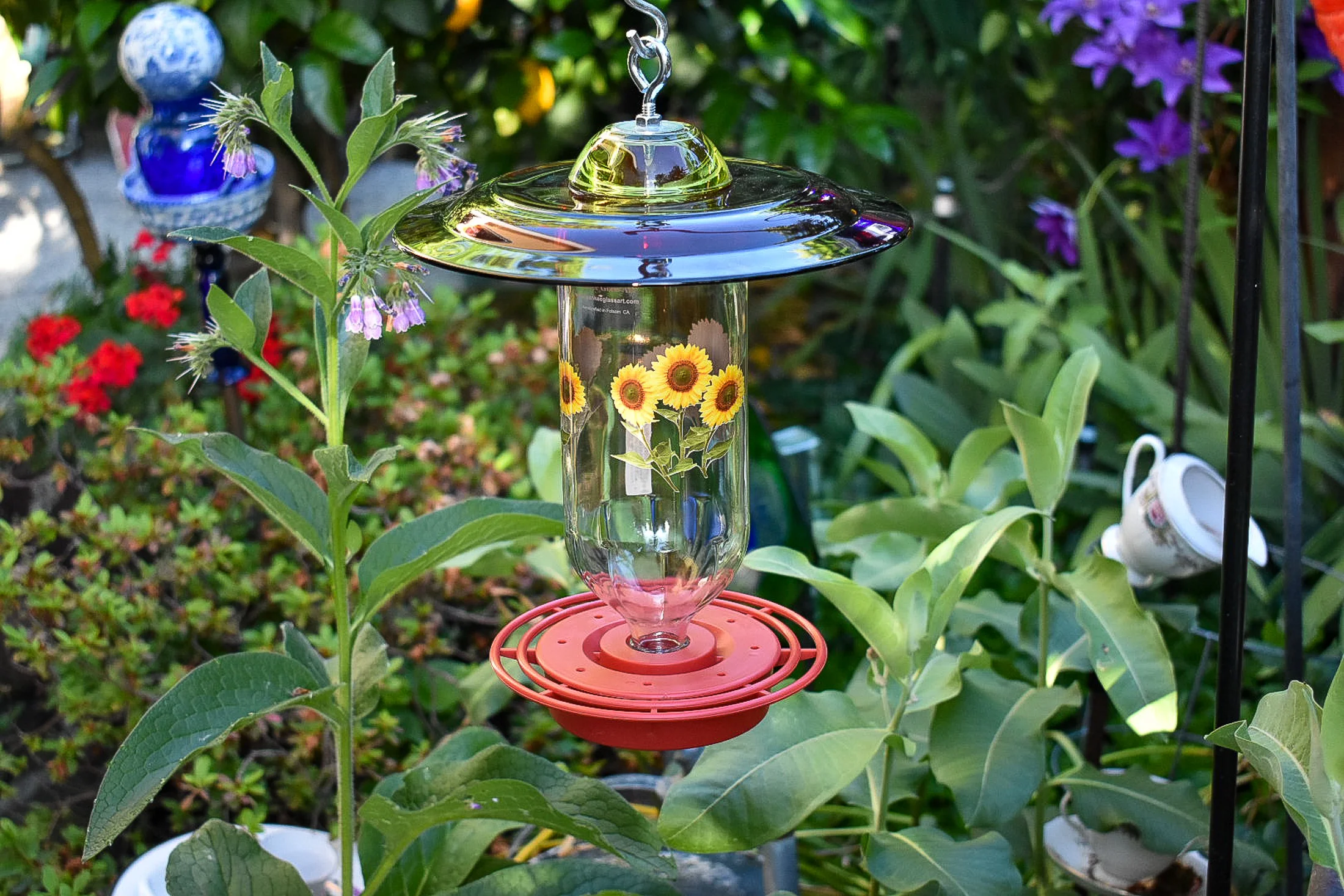 Hummingbird312d.jpg
