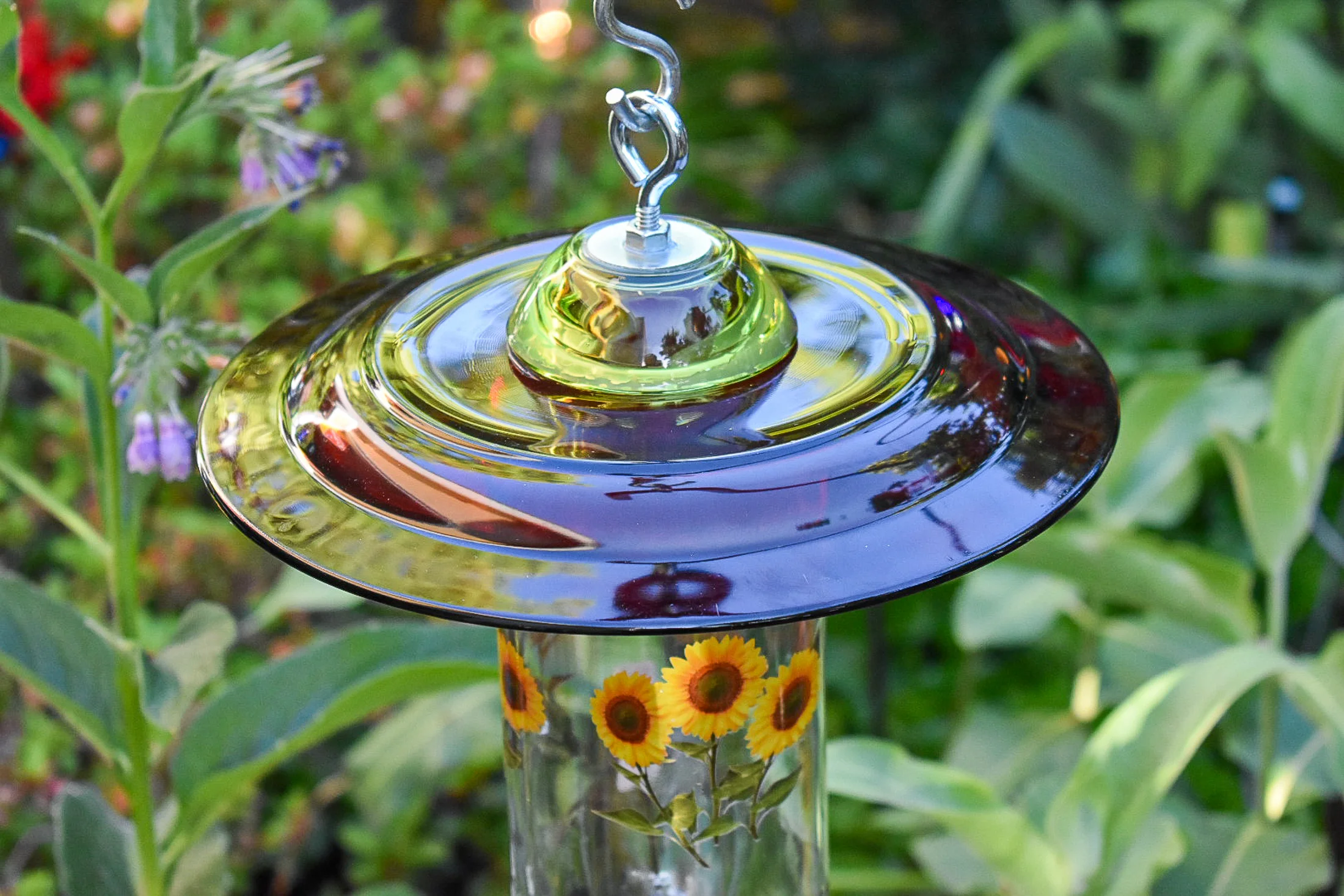 Hummingbird312b.jpg